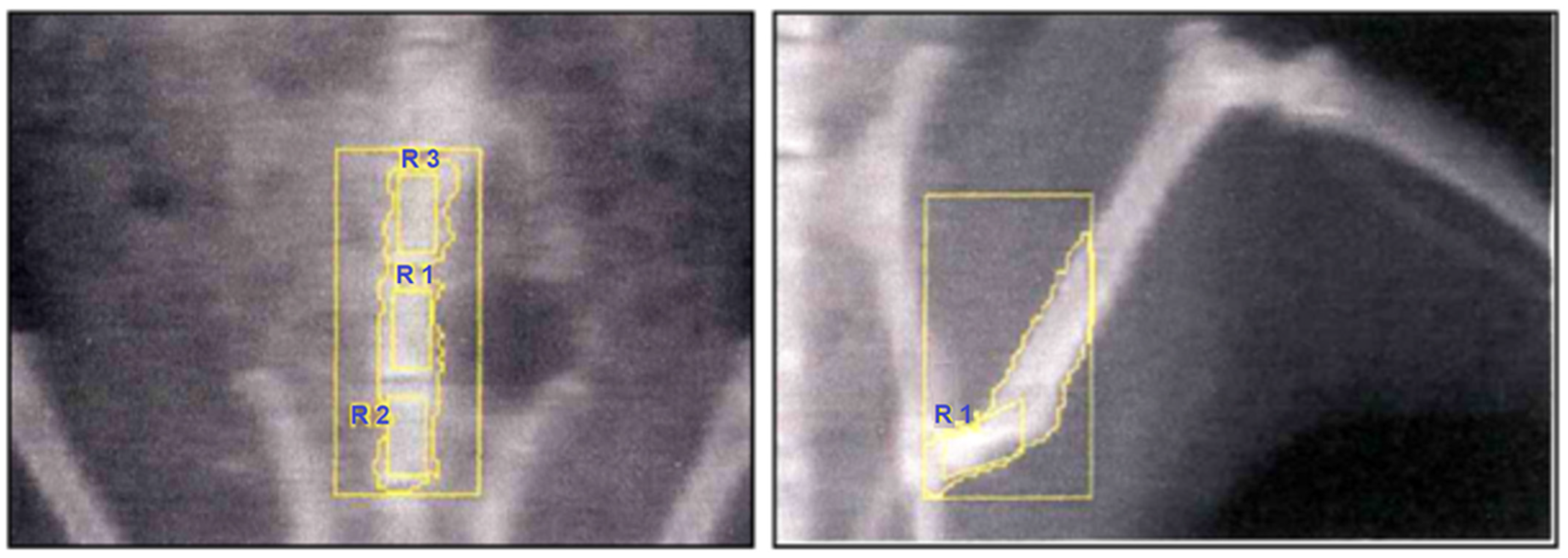 Medicina 61 02016 g002