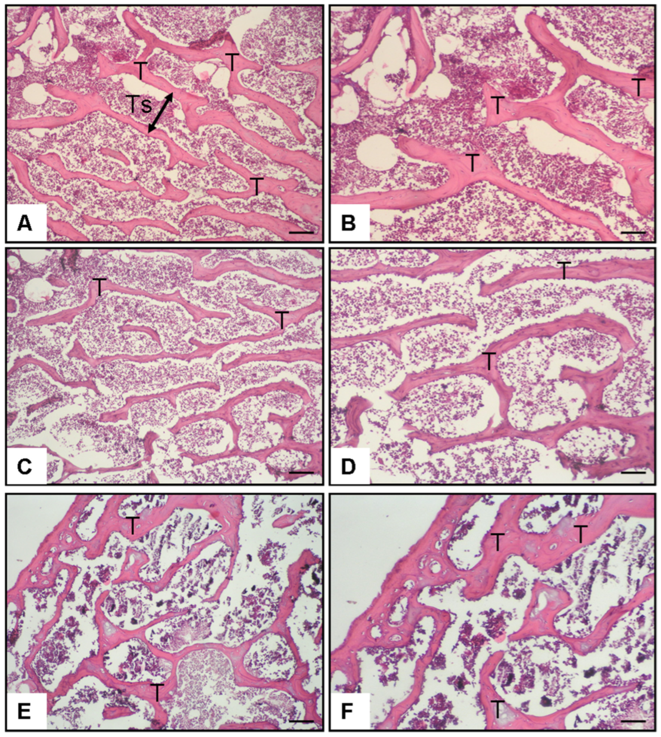 Medicina 61 02016 g003