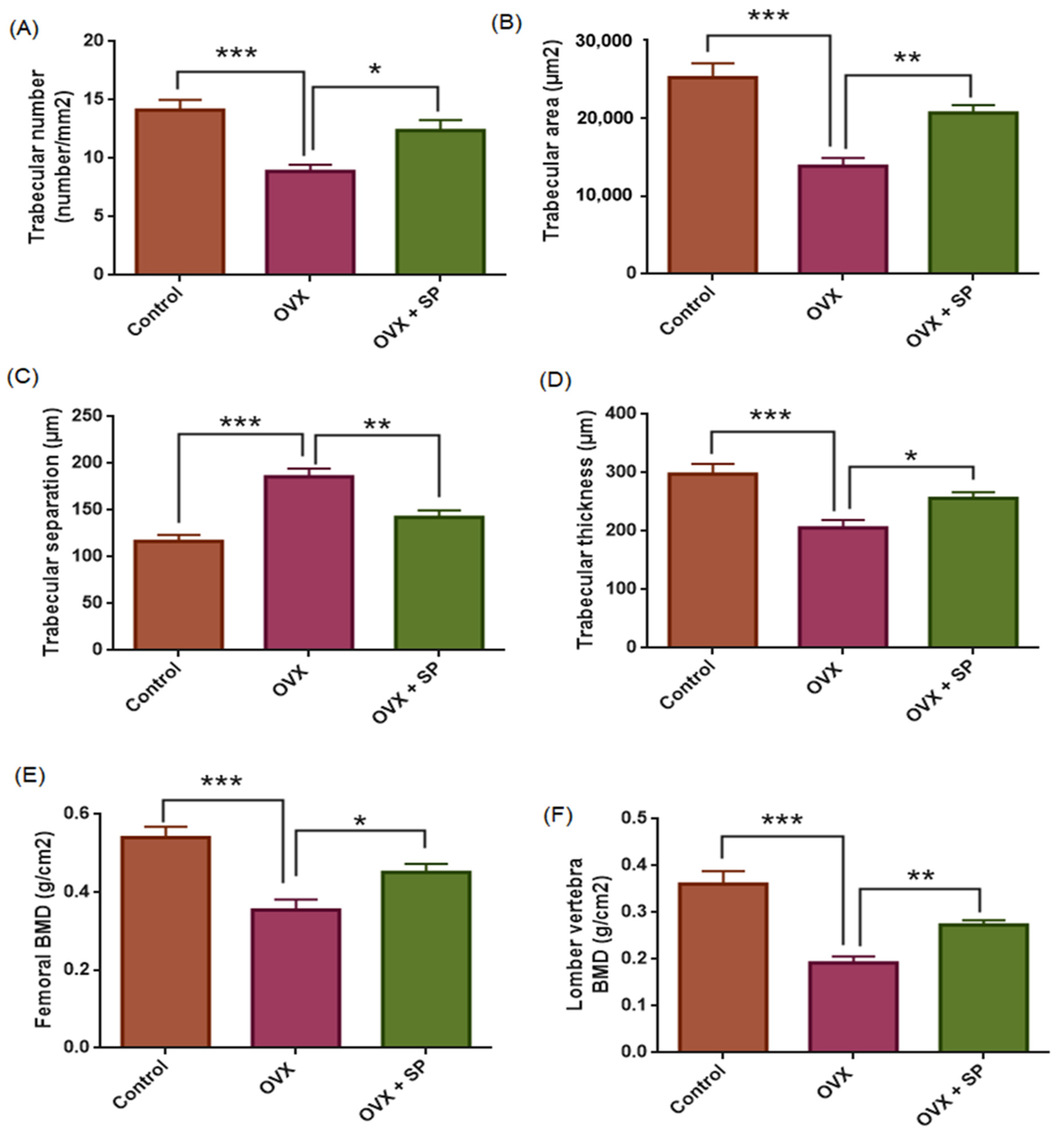 Medicina 61 02016 g004