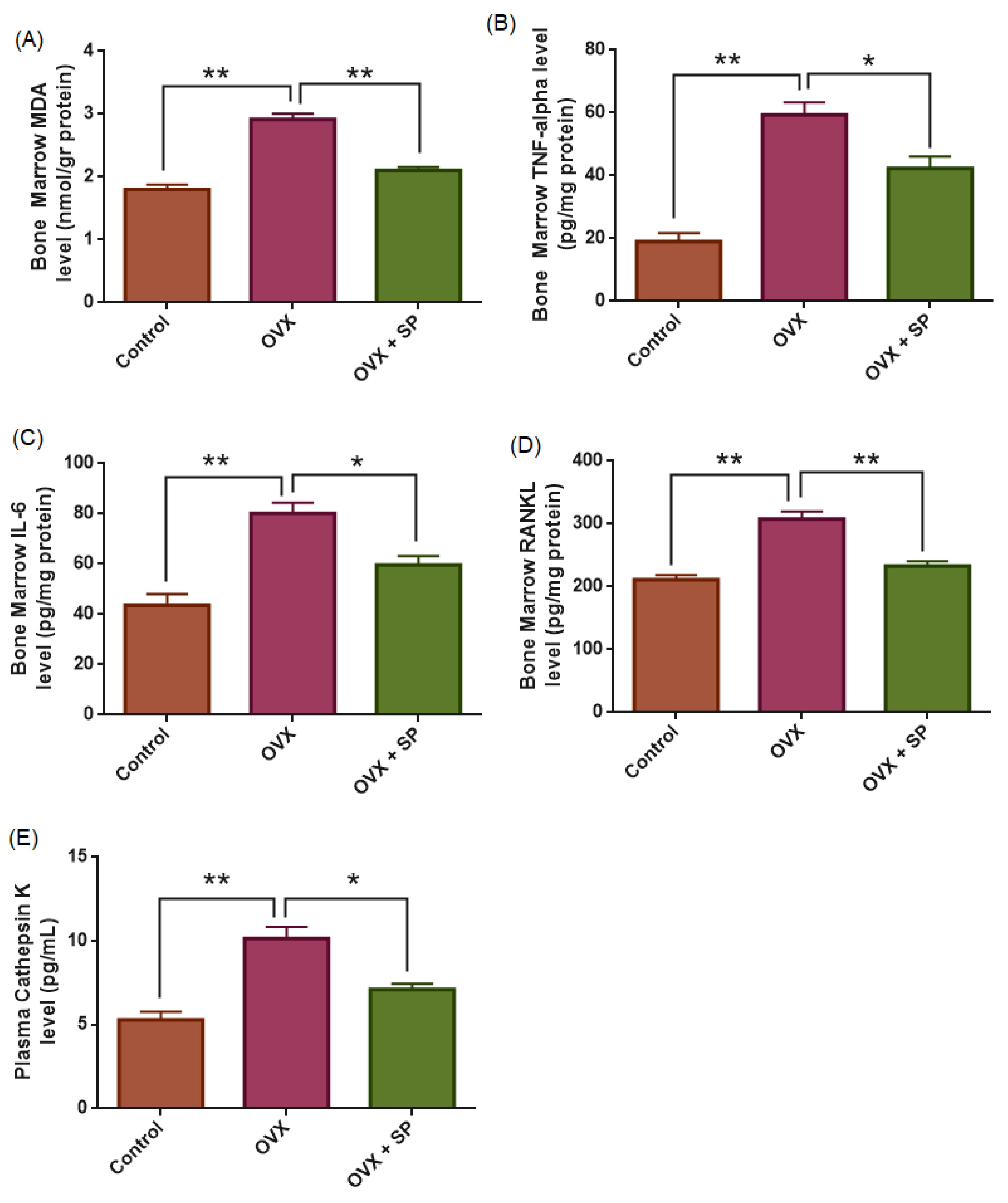 Medicina 61 02016 g005