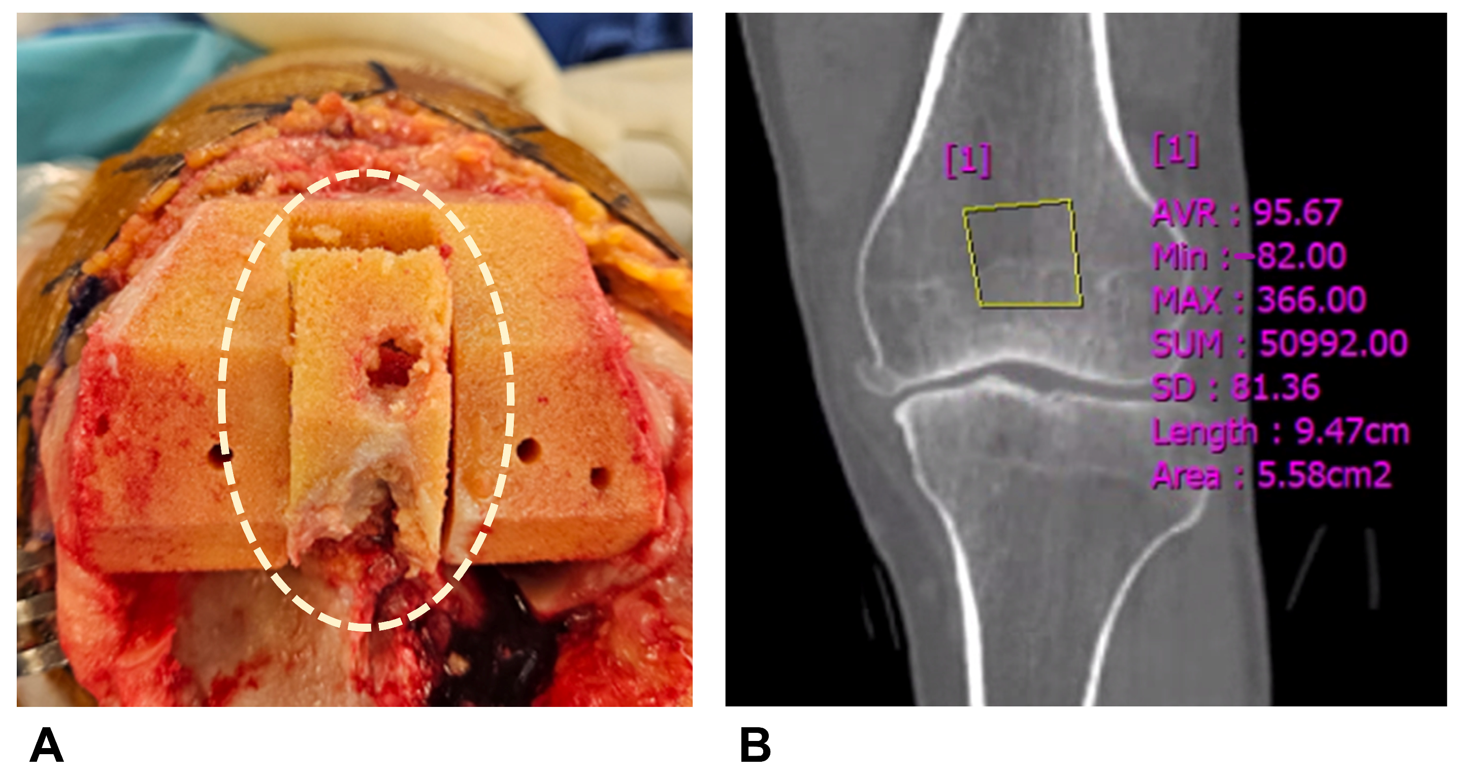 Medicina 61 02018 g001 Medicina 61 02018 g001