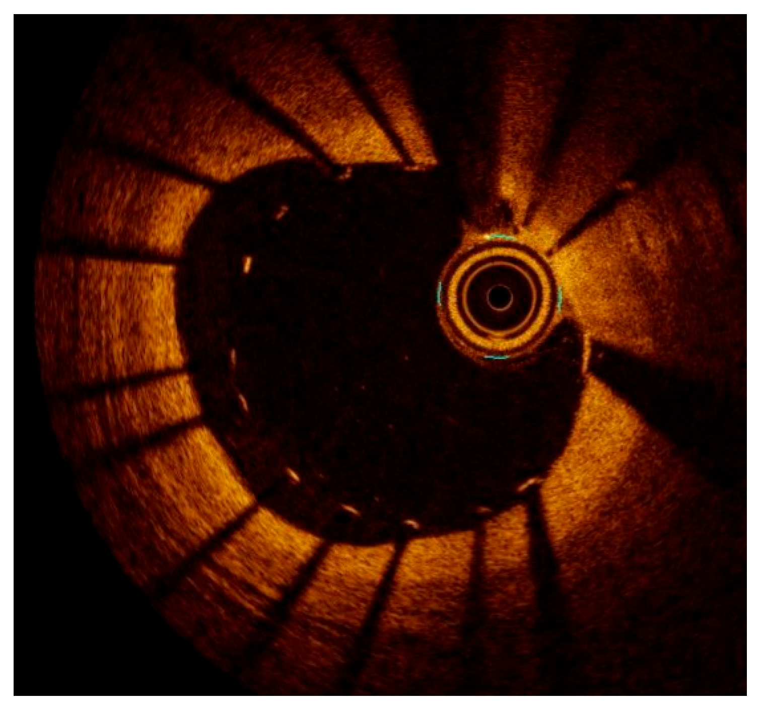 Medicina 61 02019 g005