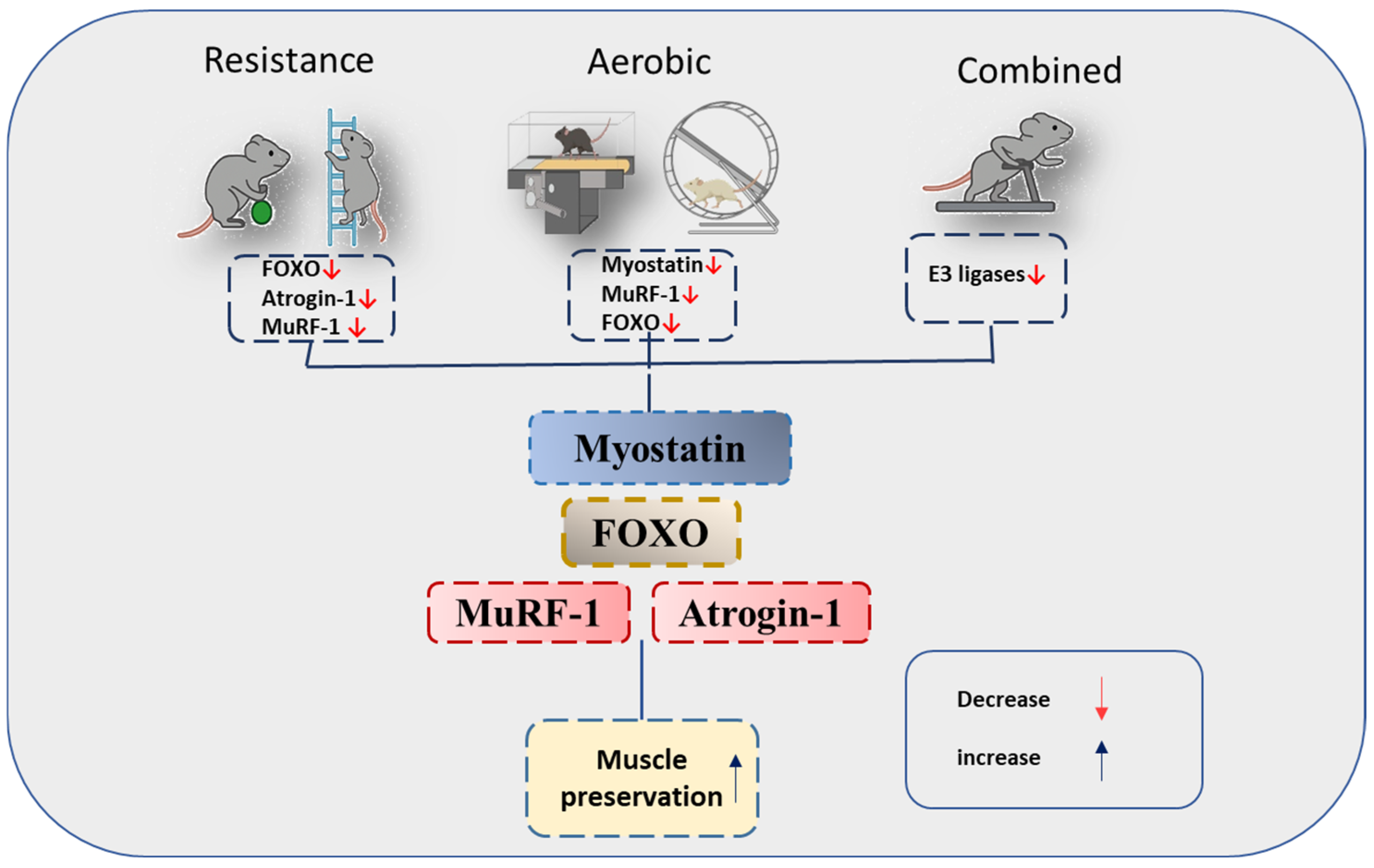 Medicina 61 02022 g002
