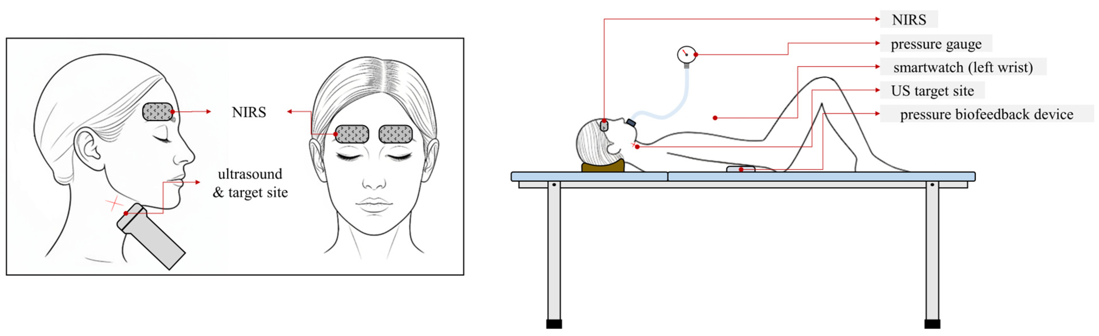 Medicina 61 02031 g001