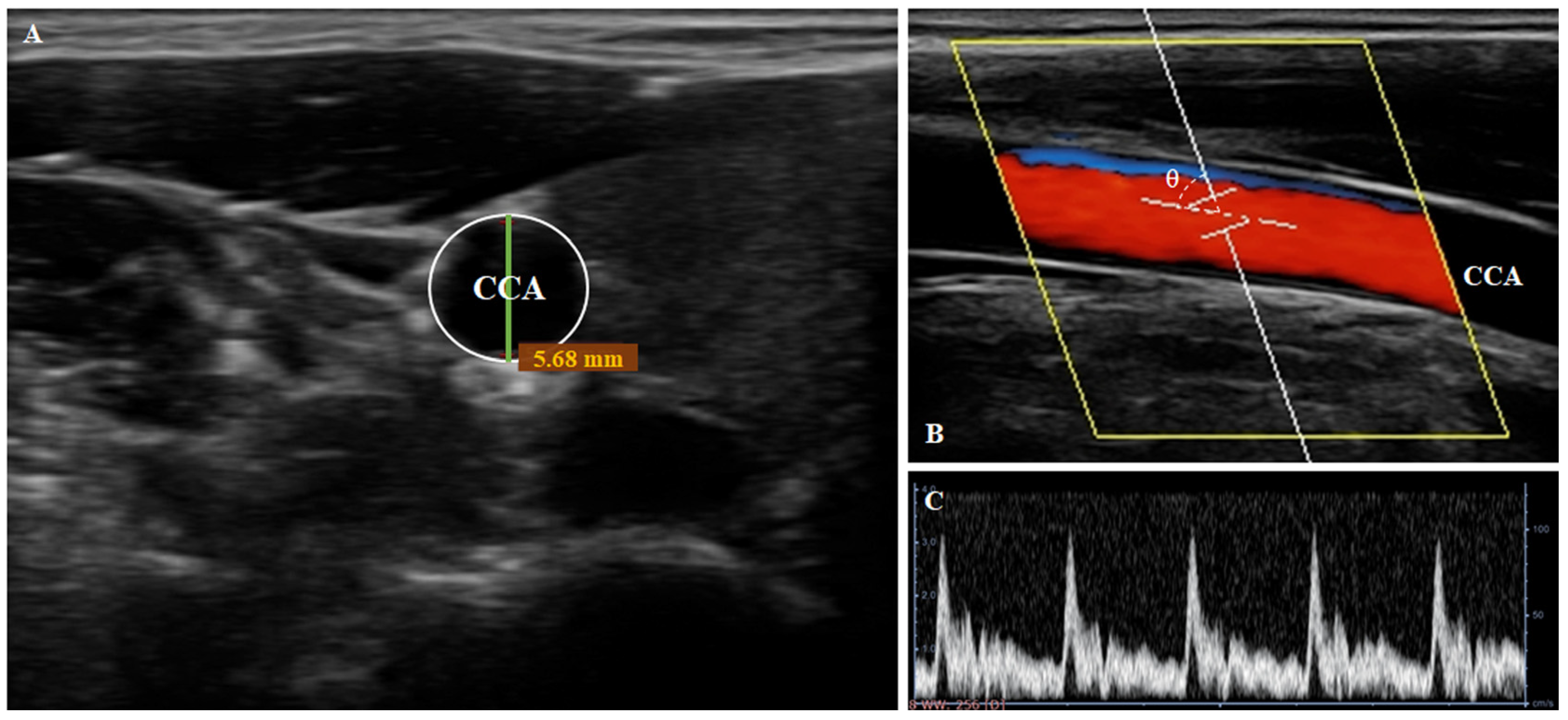 Medicina 61 02031 g002