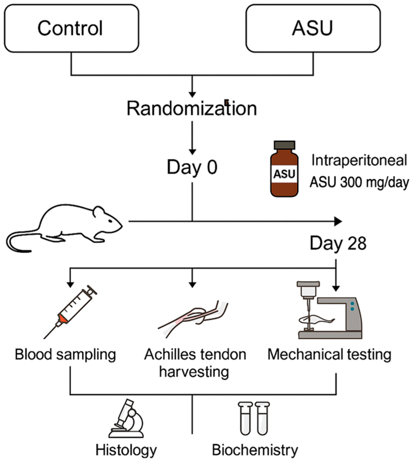 Medicina 61 02035 g001