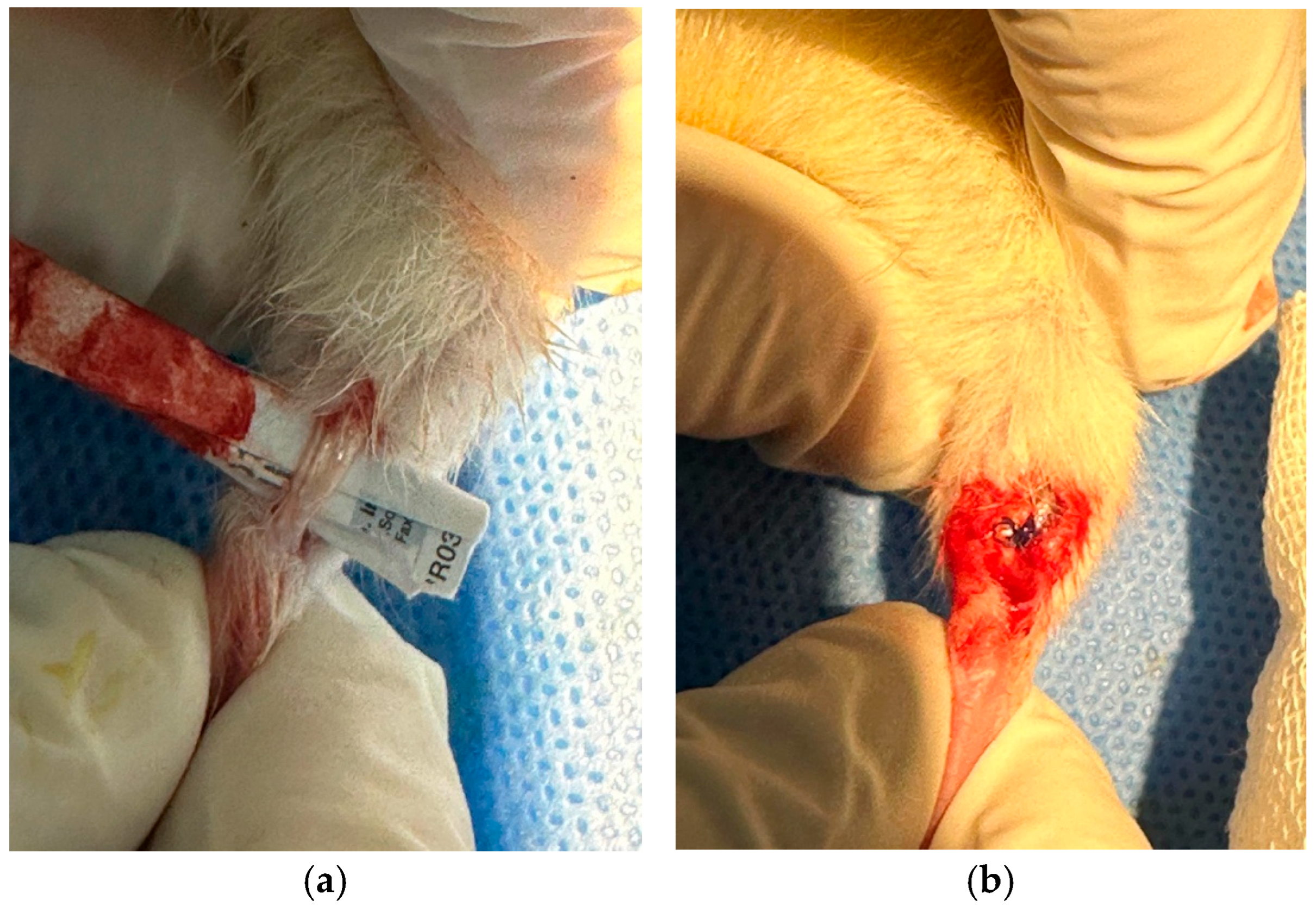 Medicina 61 02035 g002