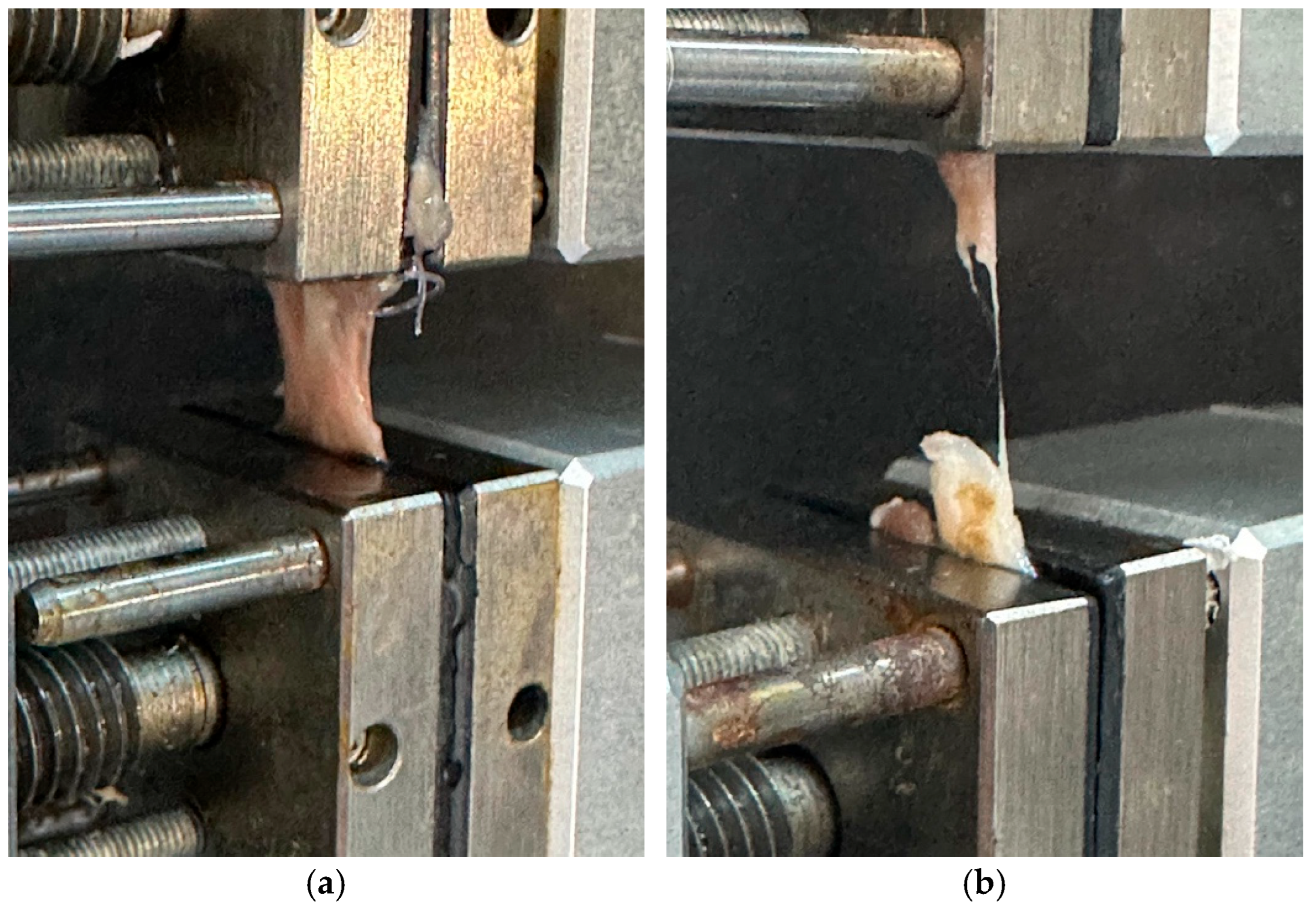 Medicina 61 02035 g003