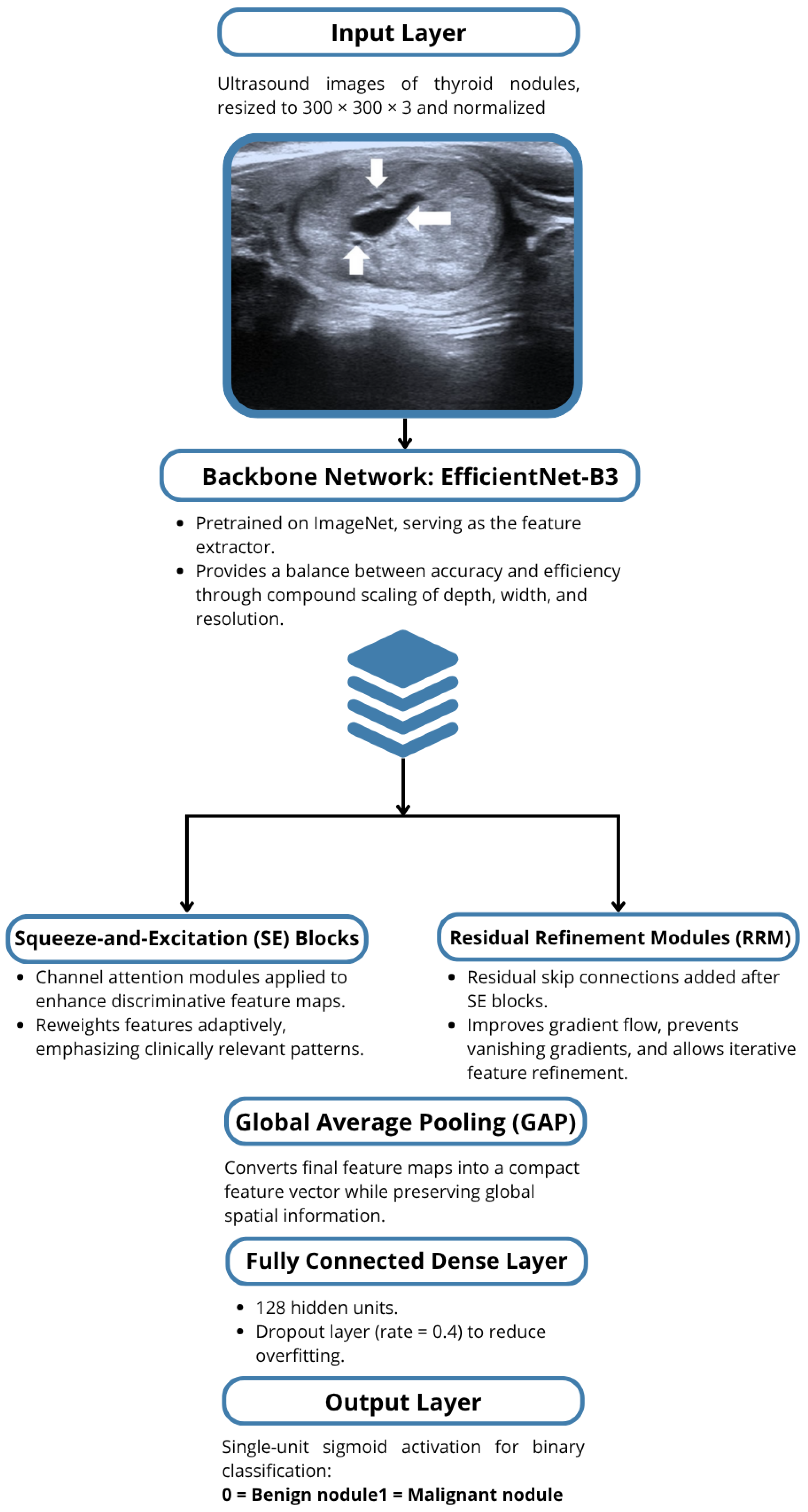 Medicina 61 02036 g001
