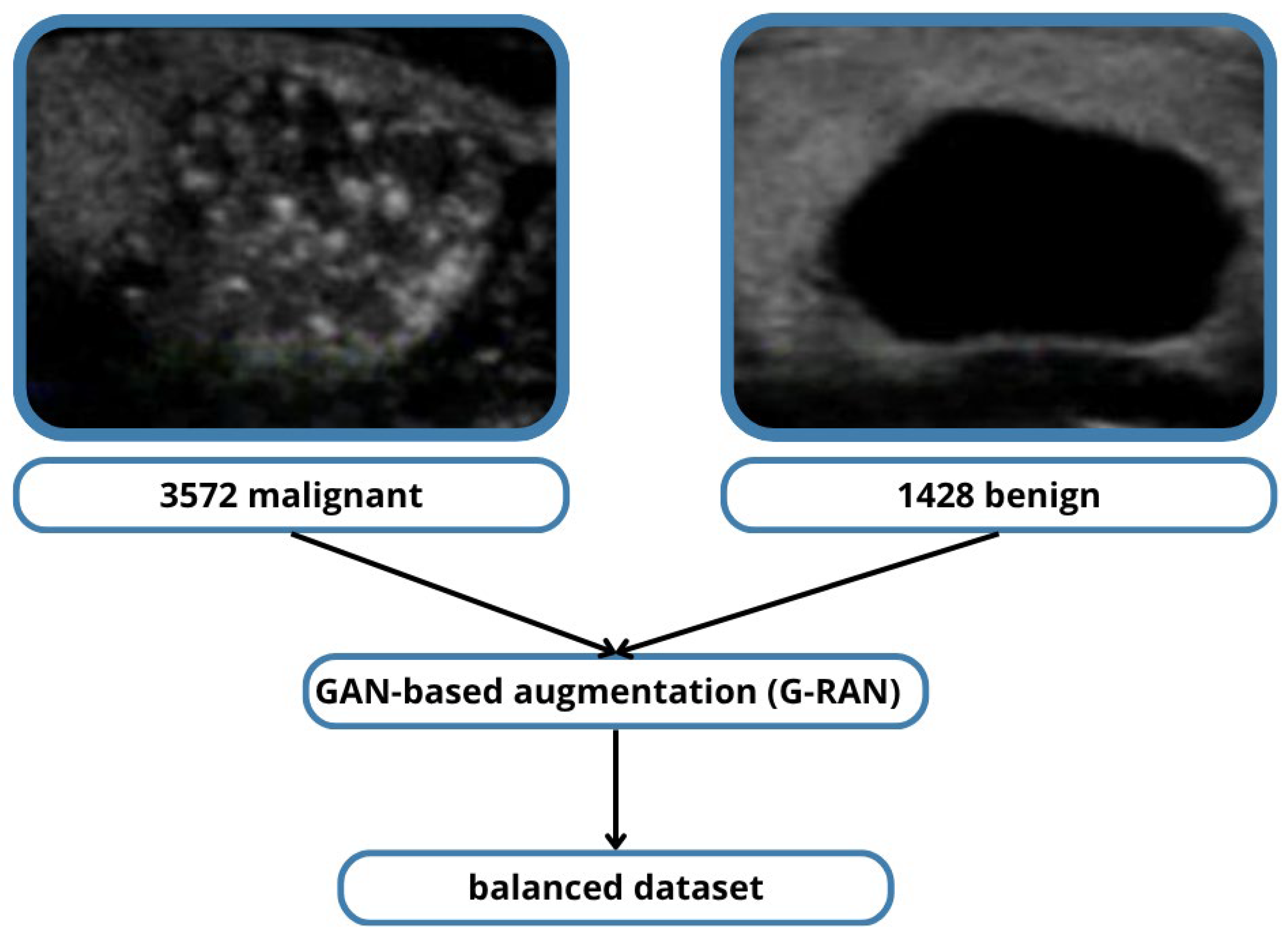 Medicina 61 02036 g002