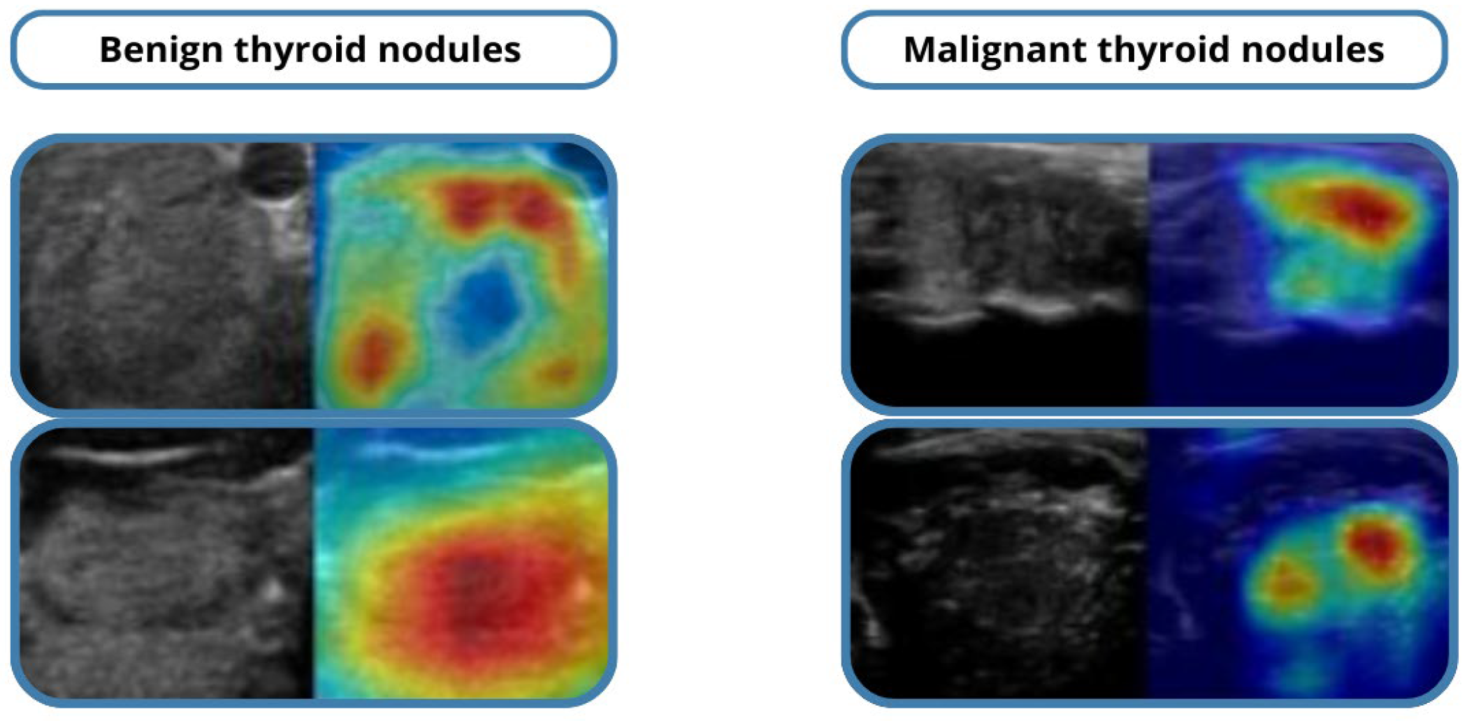 Medicina 61 02036 g005