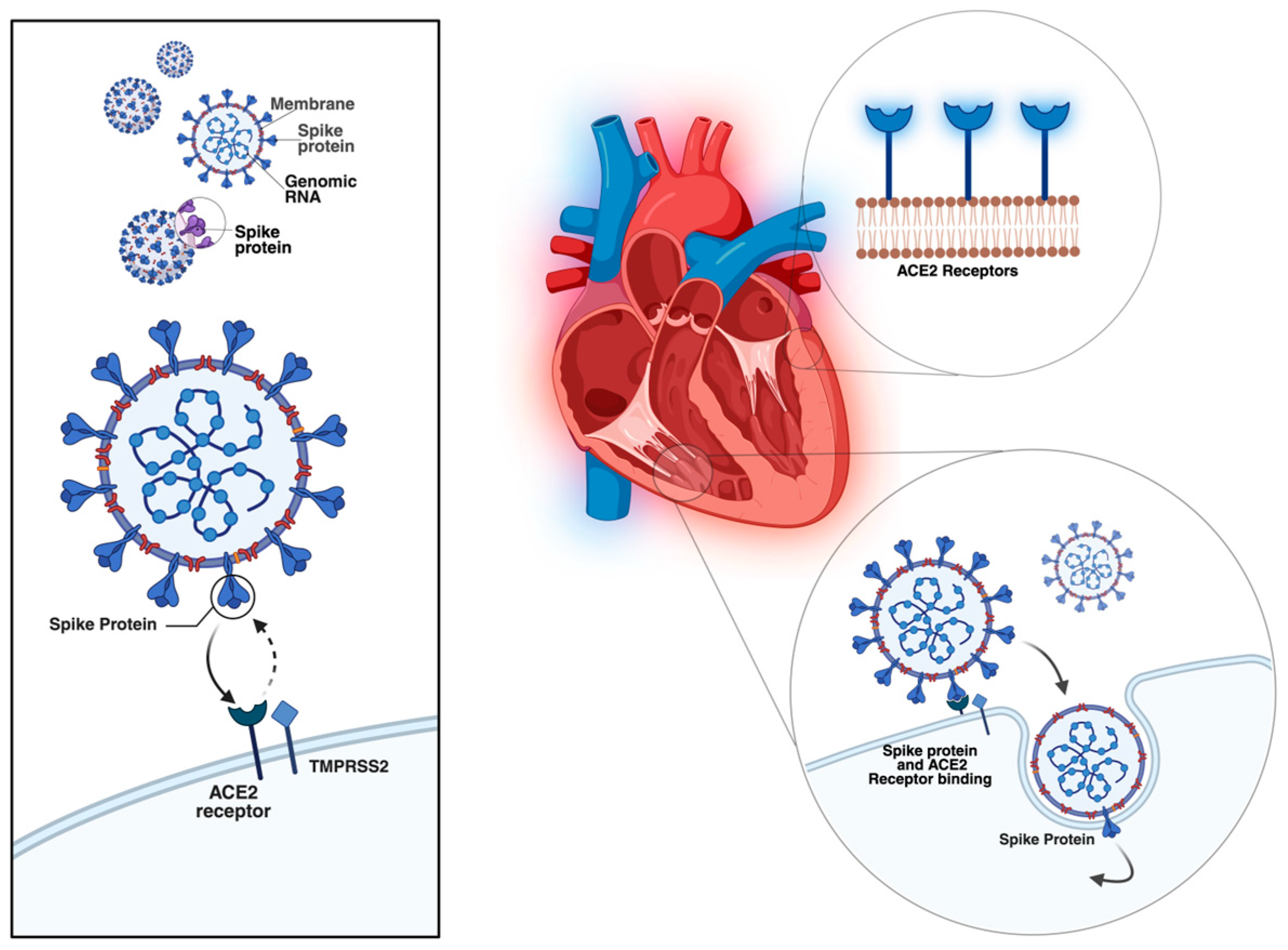 Medicina 61 02037 g001