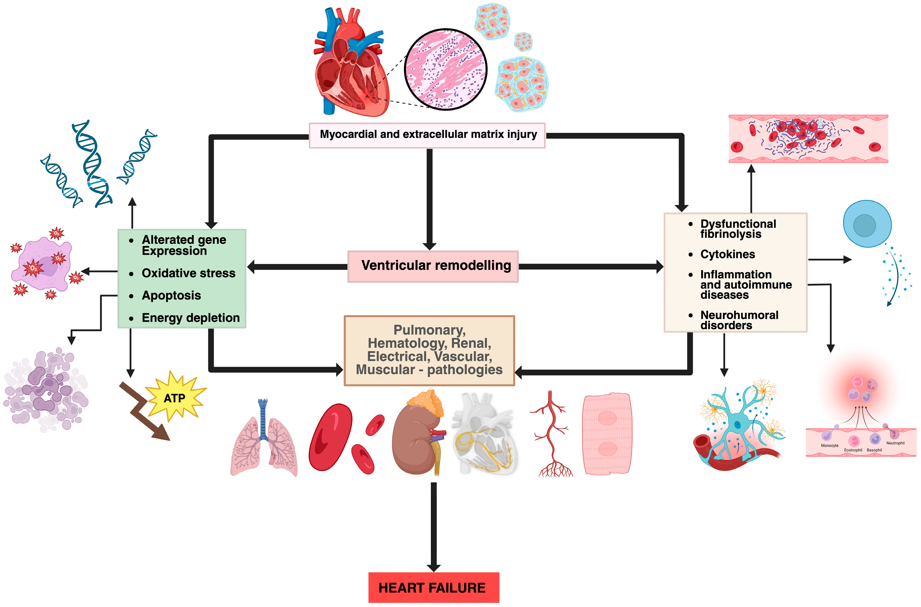 Medicina 61 02037 g002