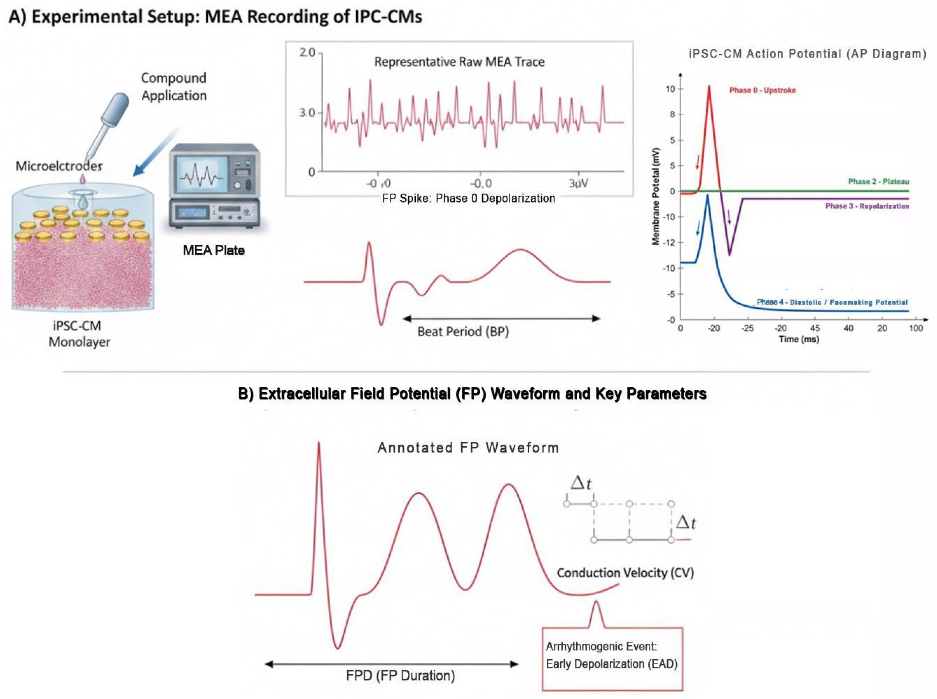Medicina 61 02056 g001