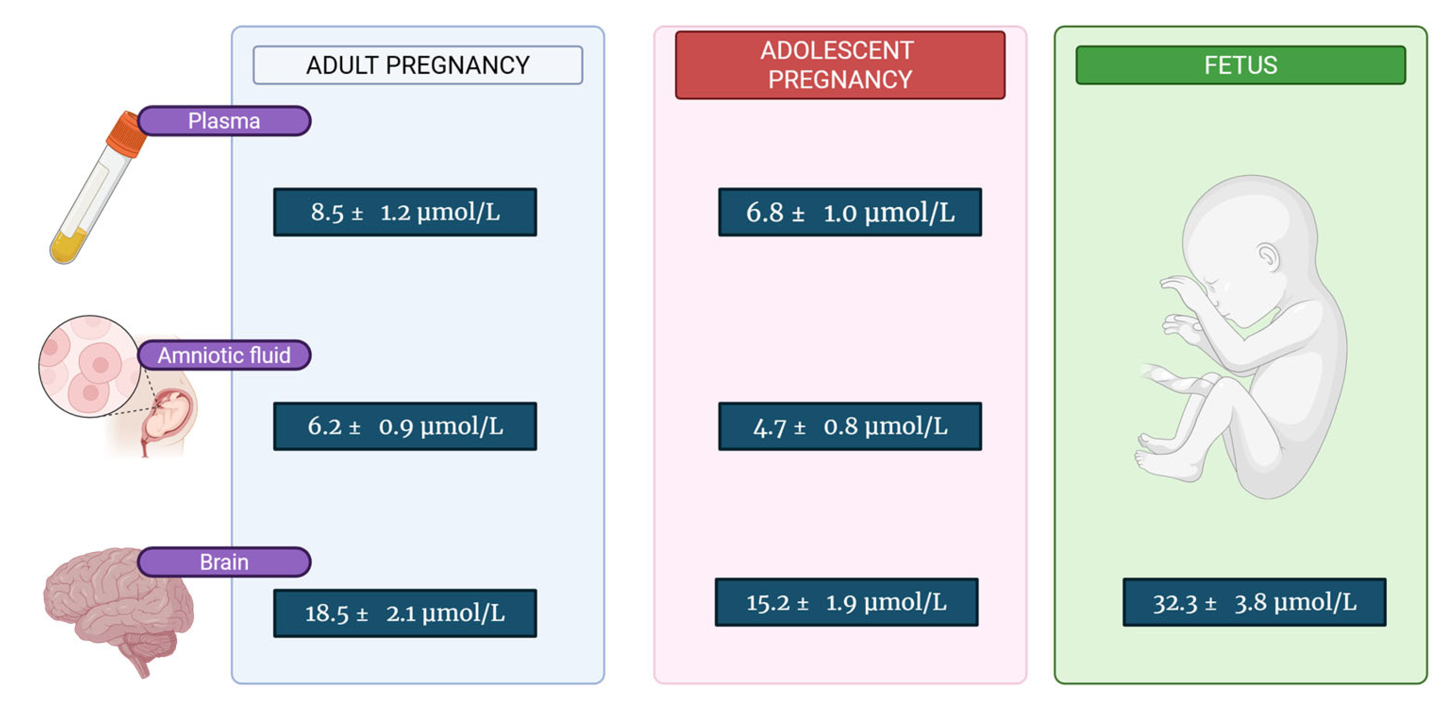 Medicina 61 02057 g001 Medicina 61 02057 g001