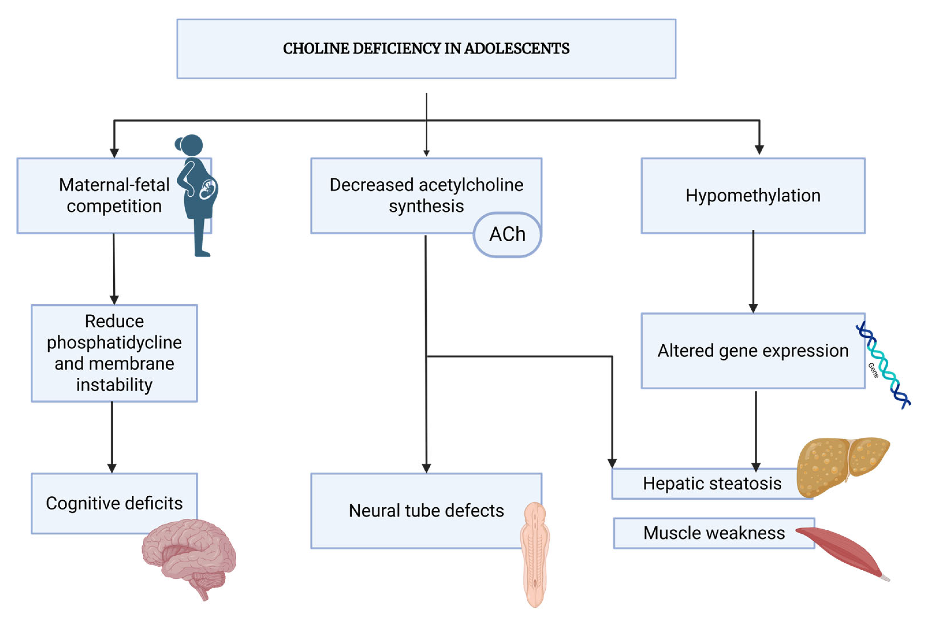 Medicina 61 02057 g003 Medicina 61 02057 g003