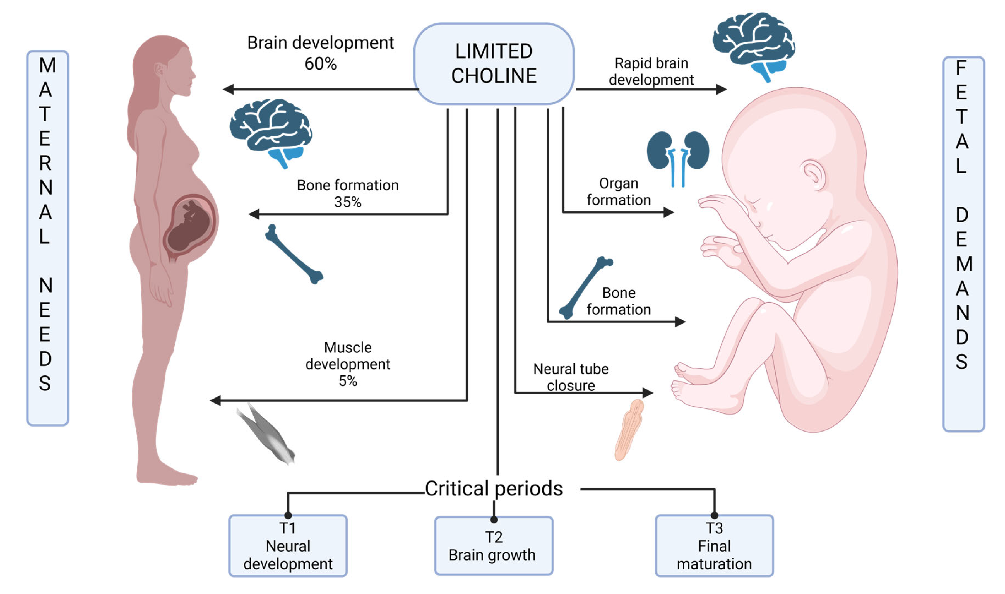 Medicina 61 02057 g004 Medicina 61 02057 g004