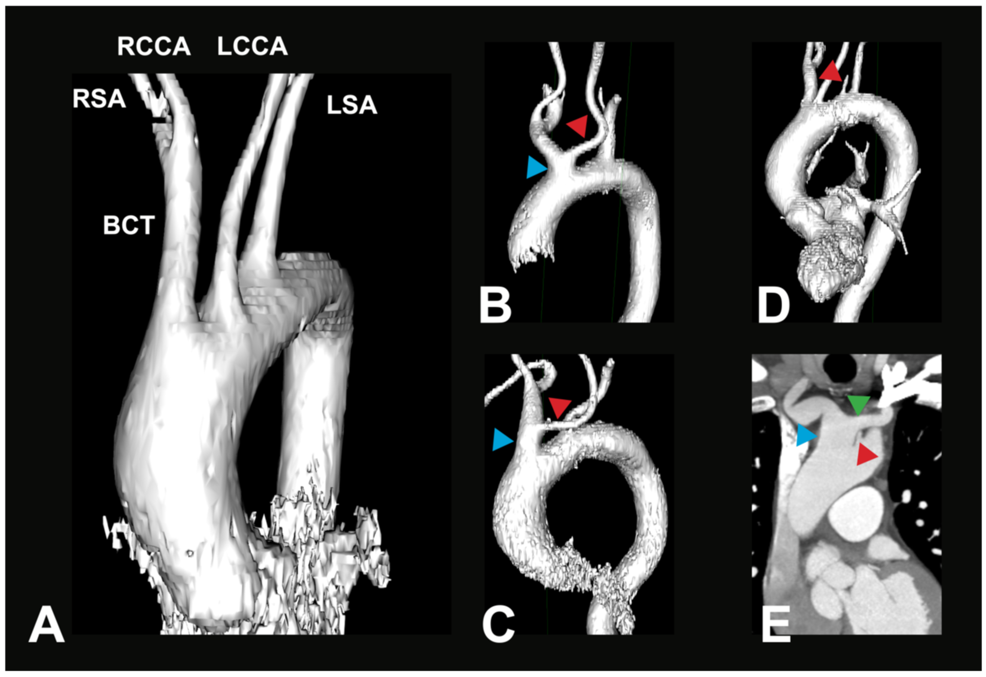 Medicina 61 02059 g002 Medicina 61 02059 g002