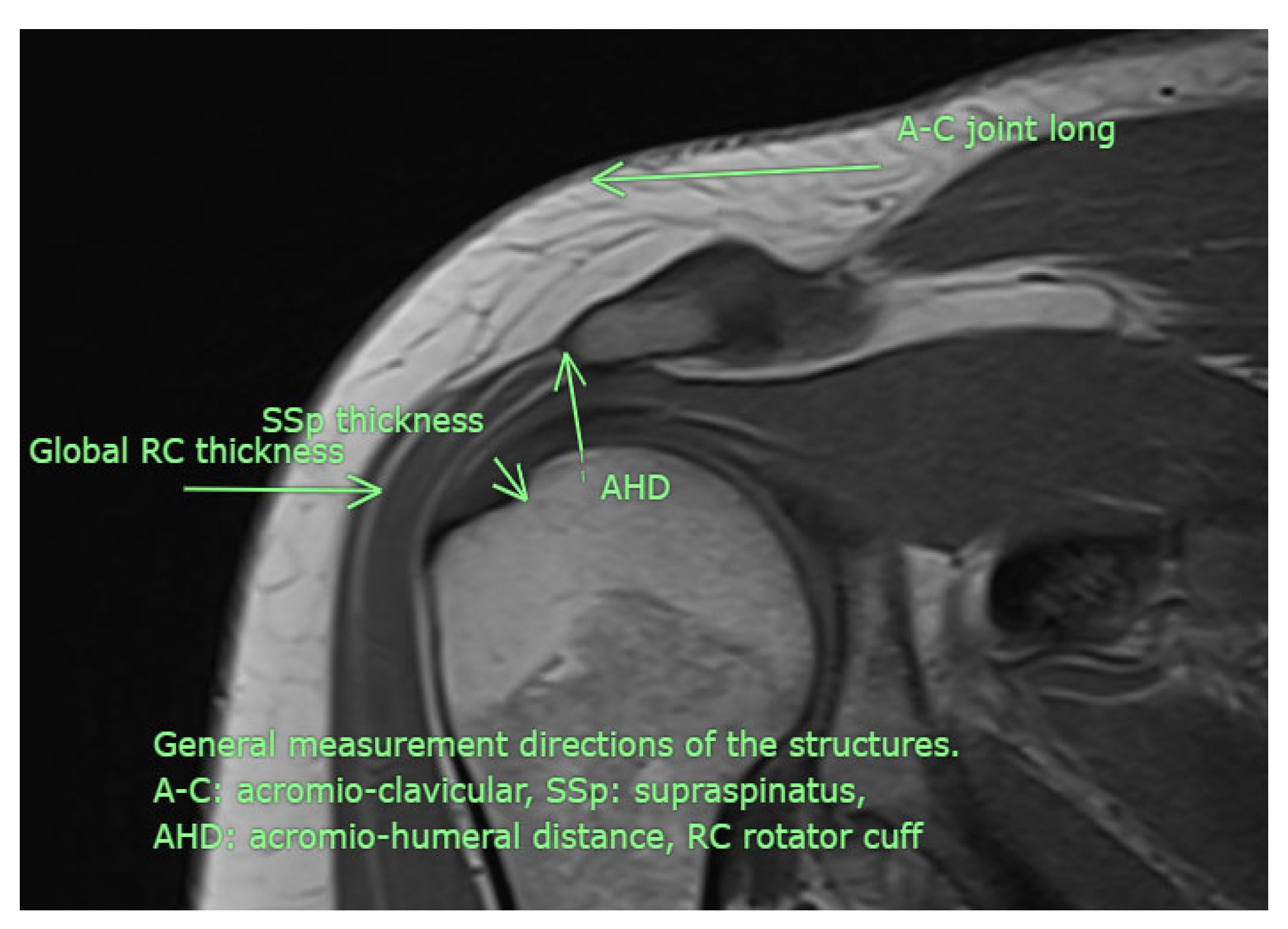 Medicina 61 02061 g003