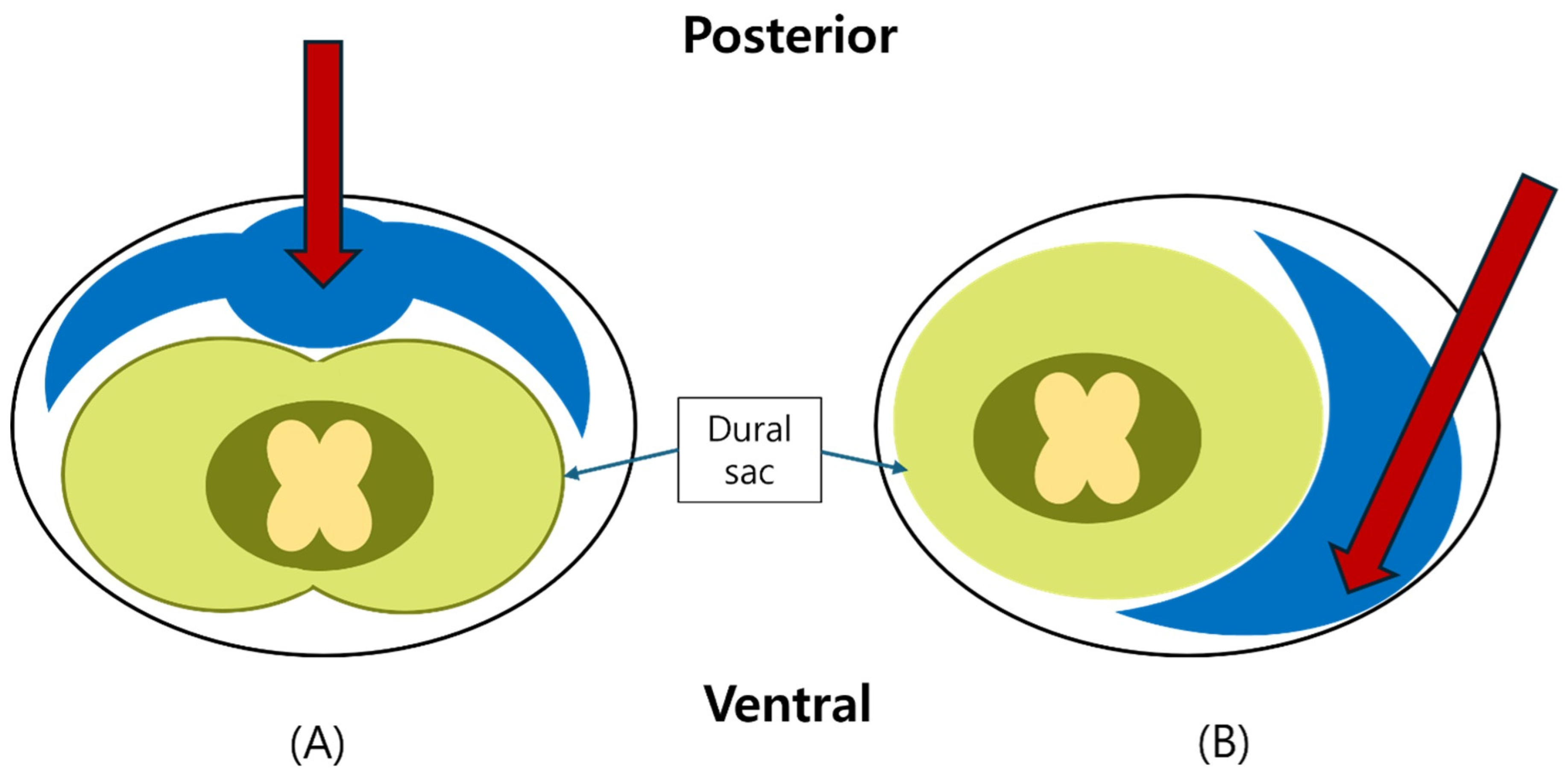 Medicina 61 02069 g003 Medicina 61 02069 g003