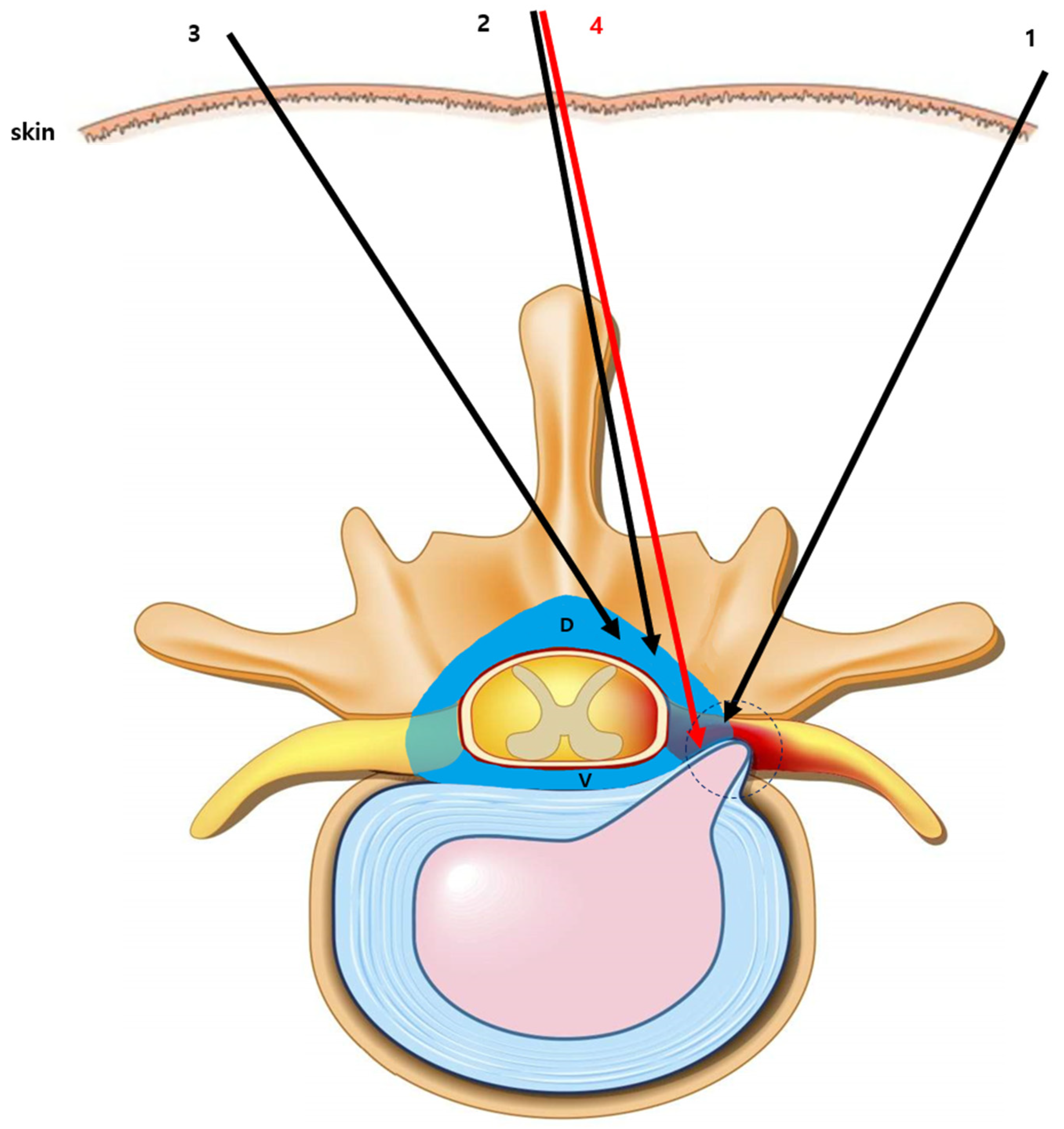 Medicina 61 02069 g007 Medicina 61 02069 g007