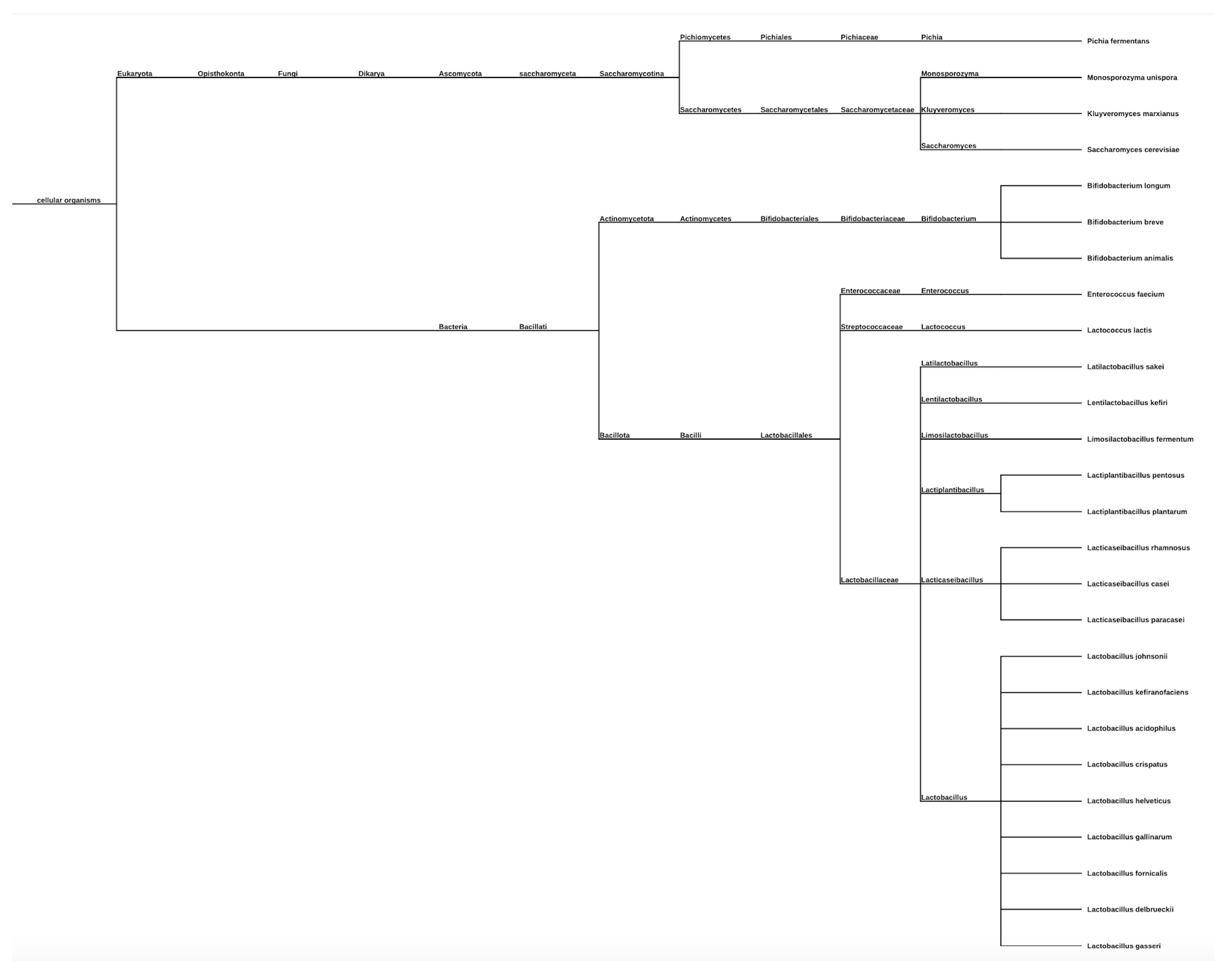Medicina 61 02090 g004