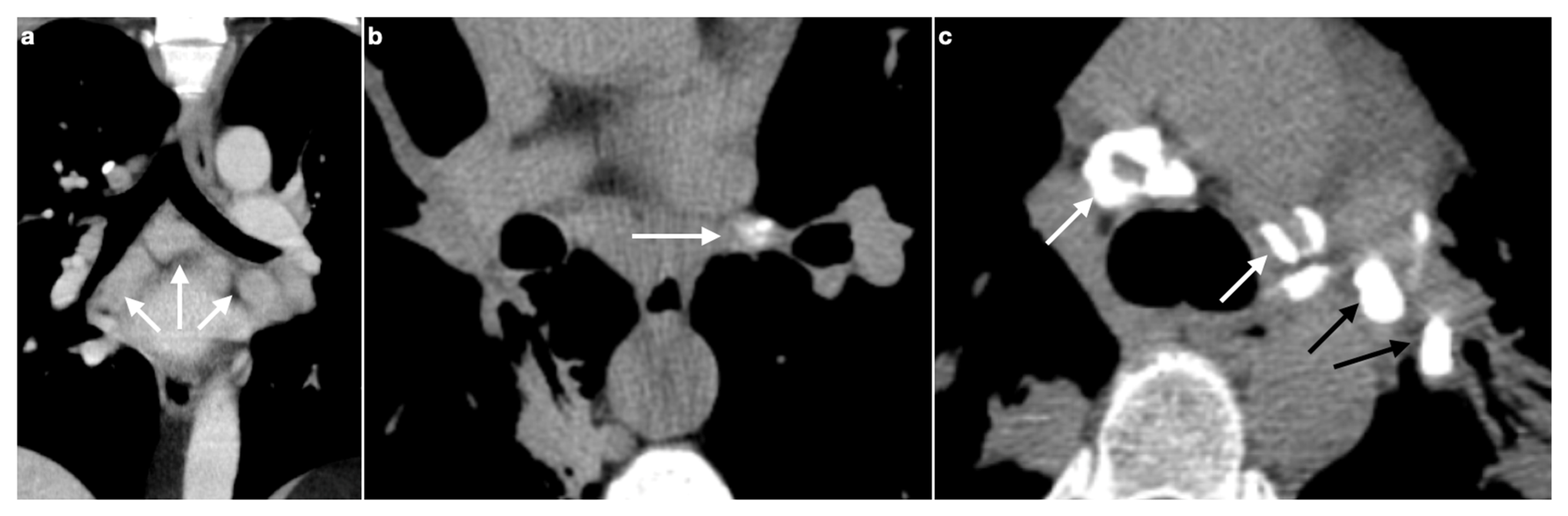Medicina 61 02094 g002 Medicina 61 02094 g002