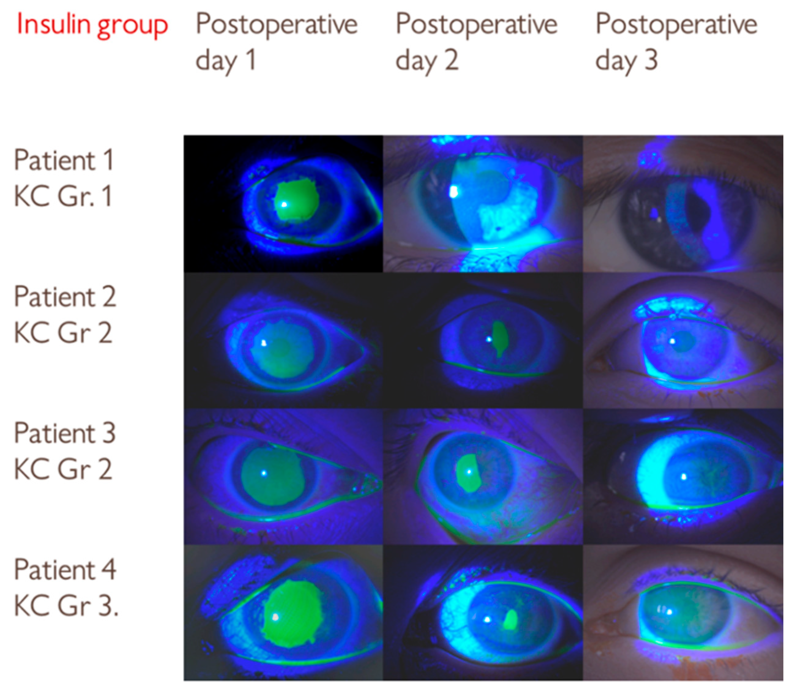 Medicina 61 02101 g002