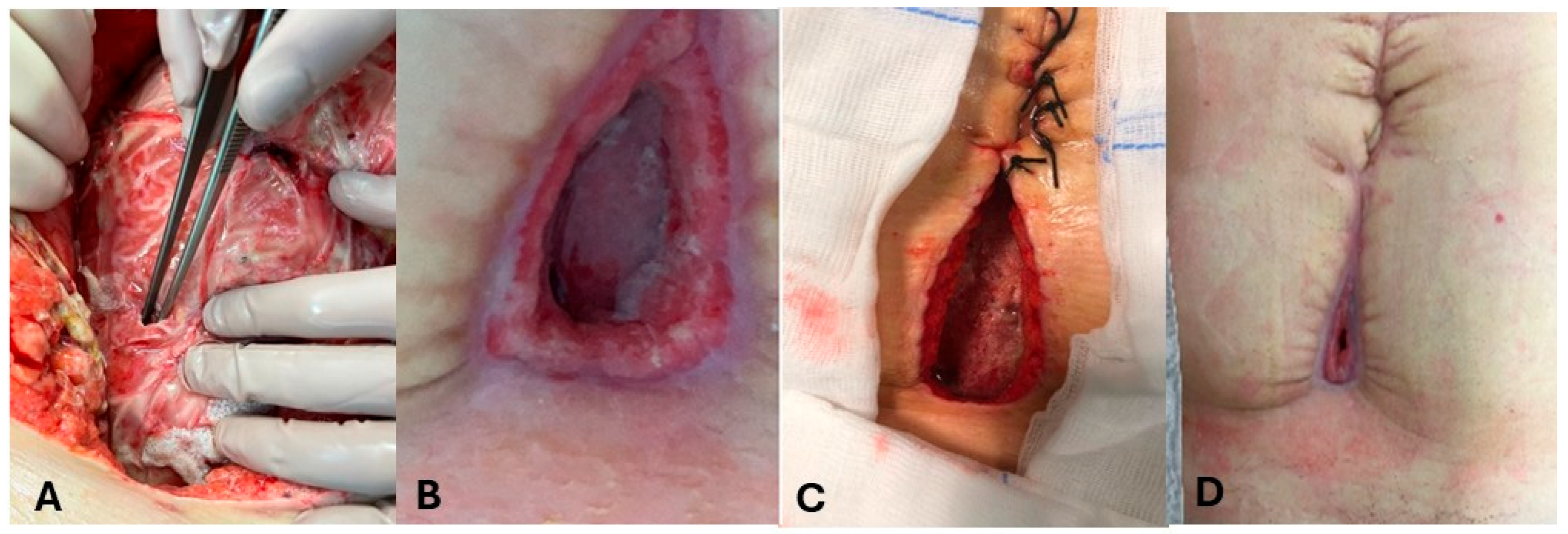 Medicina 61 02102 g001 Medicina 61 02102 g001