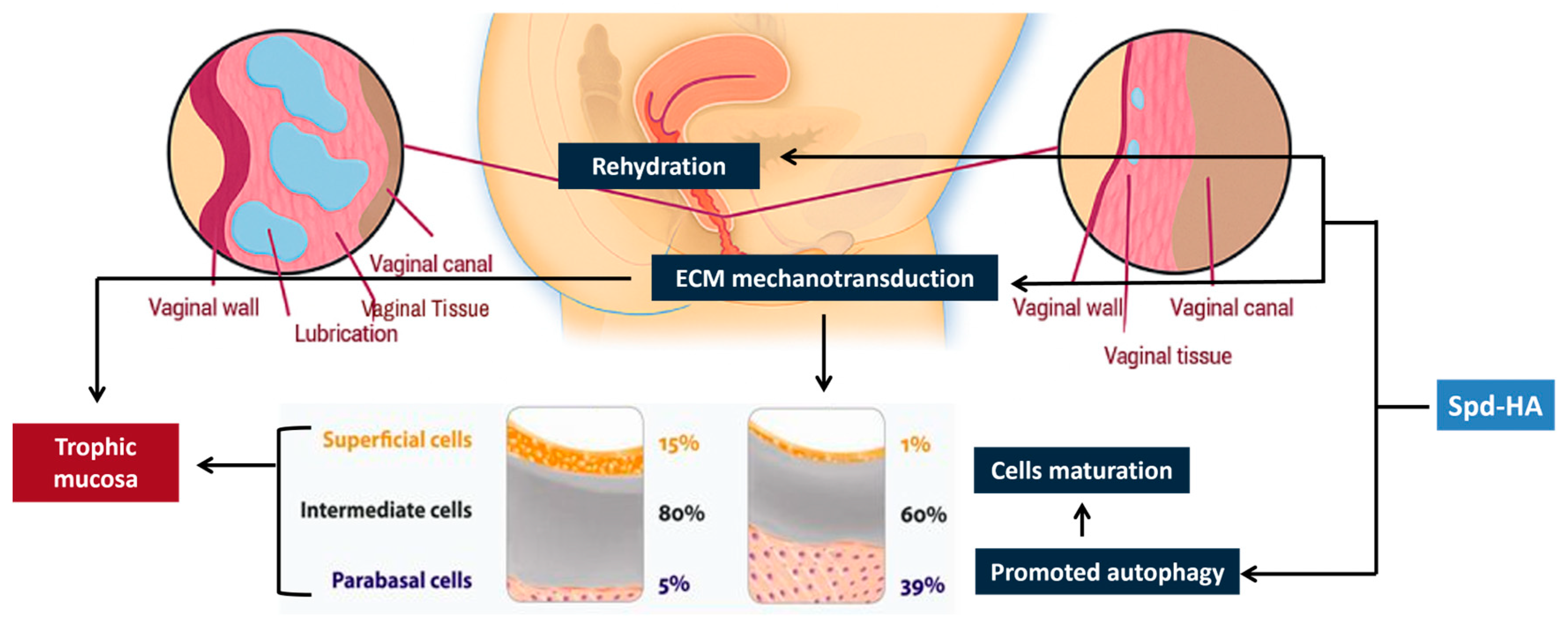 Medicina 61 02104 g006