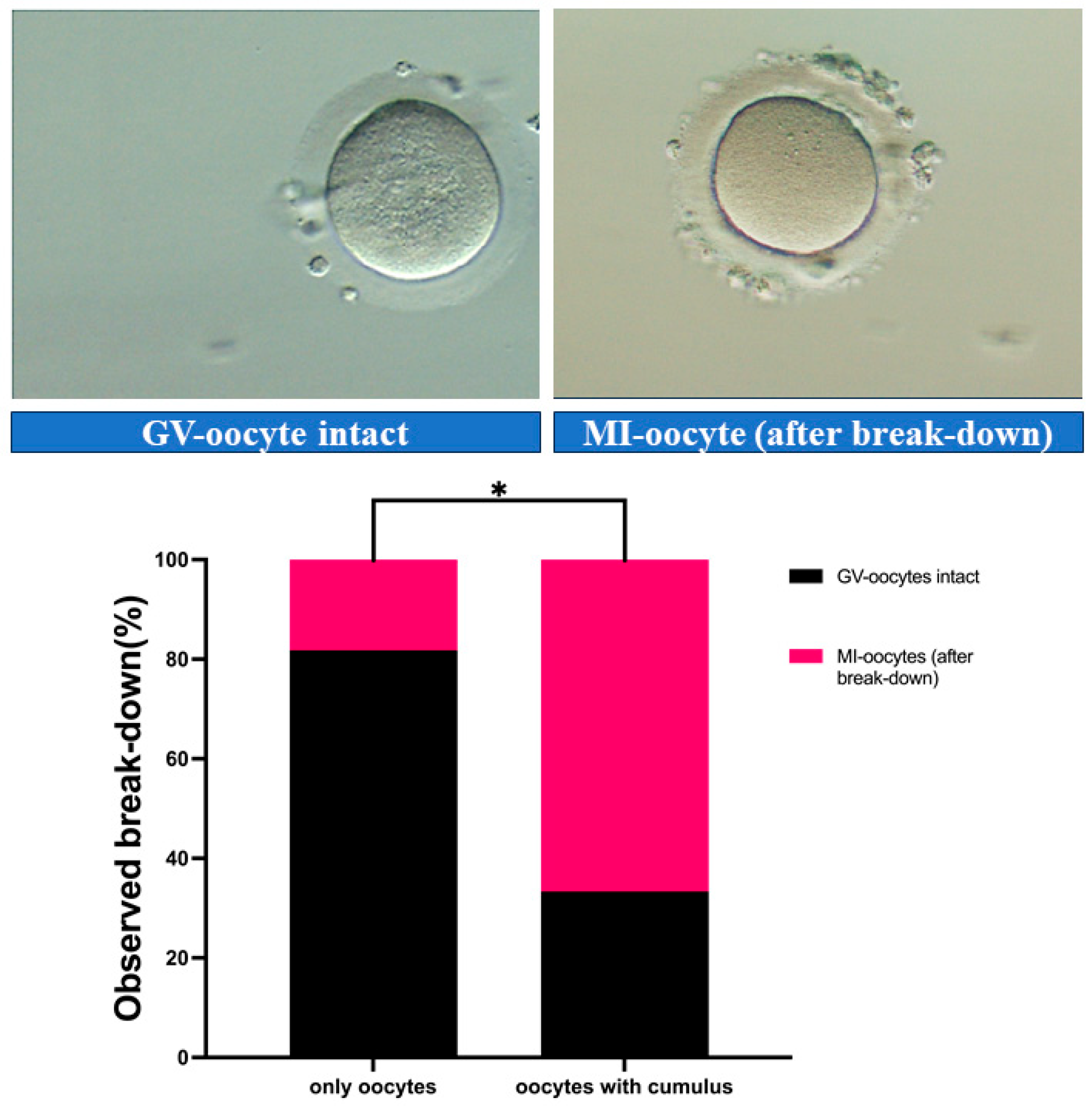 Medicina 61 02107 g001