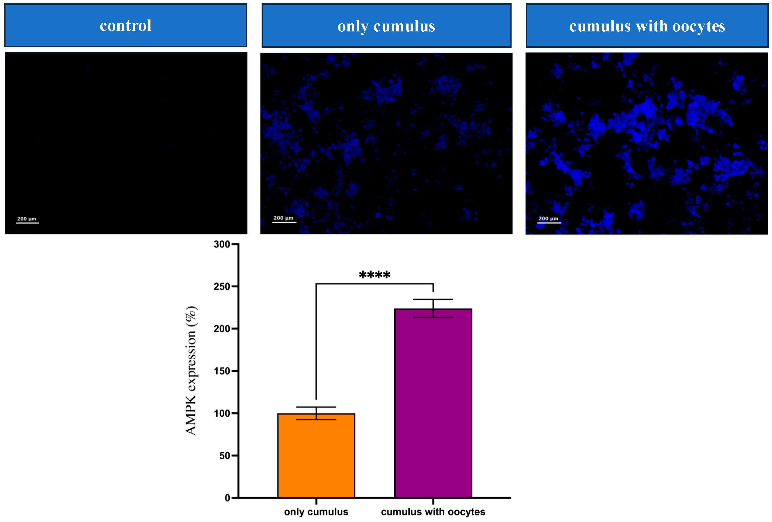 Medicina 61 02107 g004