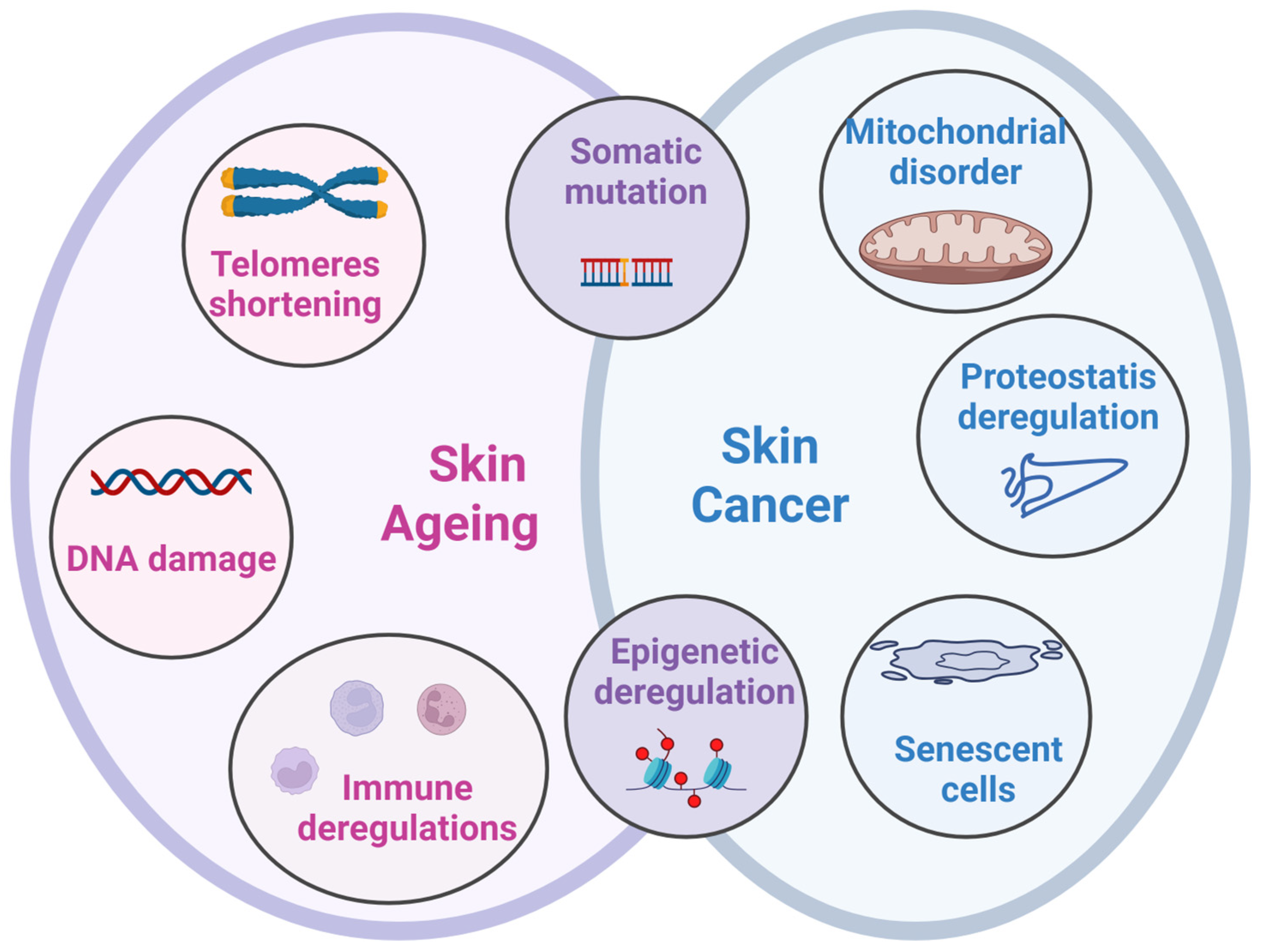 Medicina 61 02115 g001 Medicina 61 02115 g001