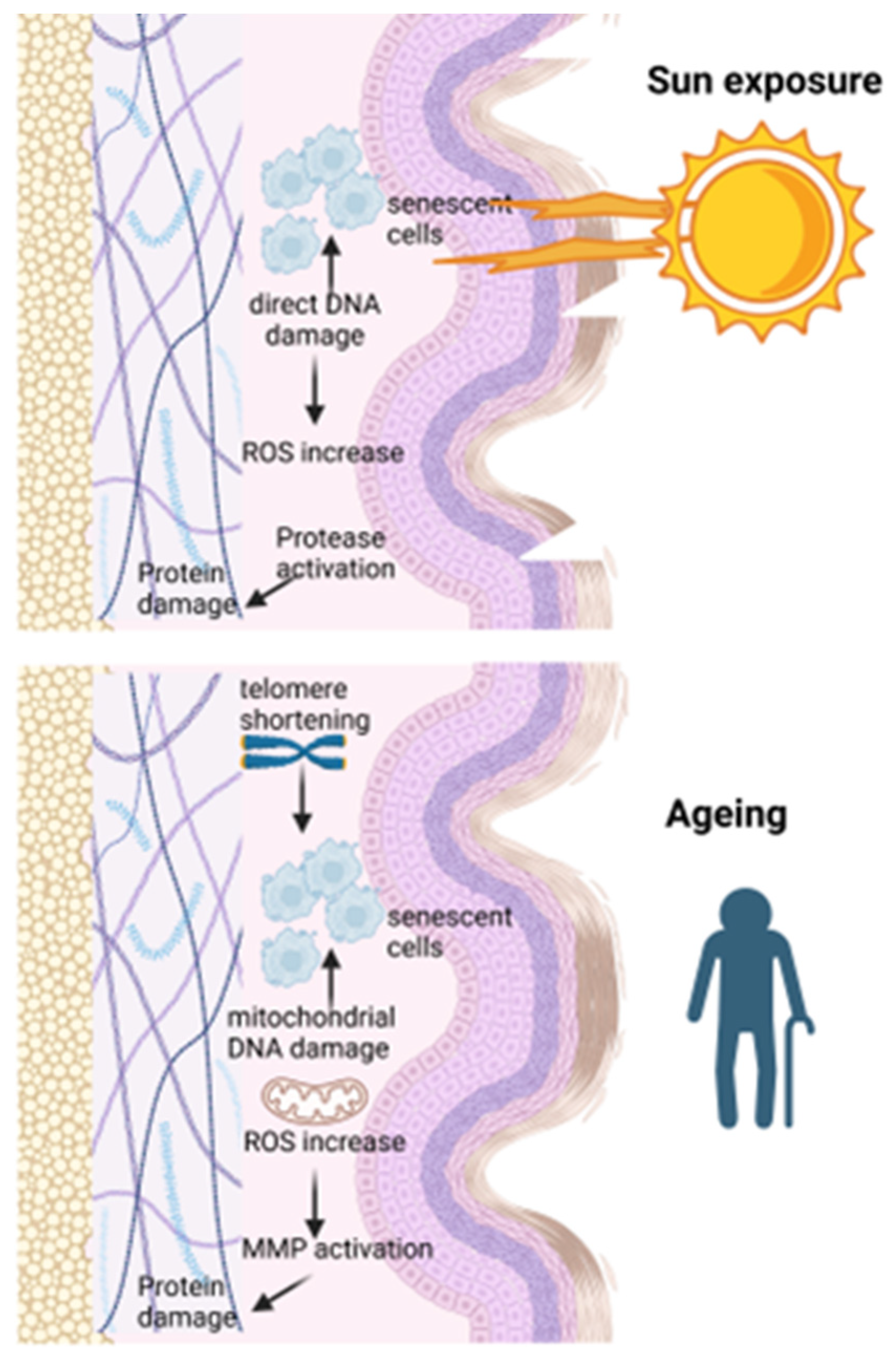 Medicina 61 02115 g002 Medicina 61 02115 g002