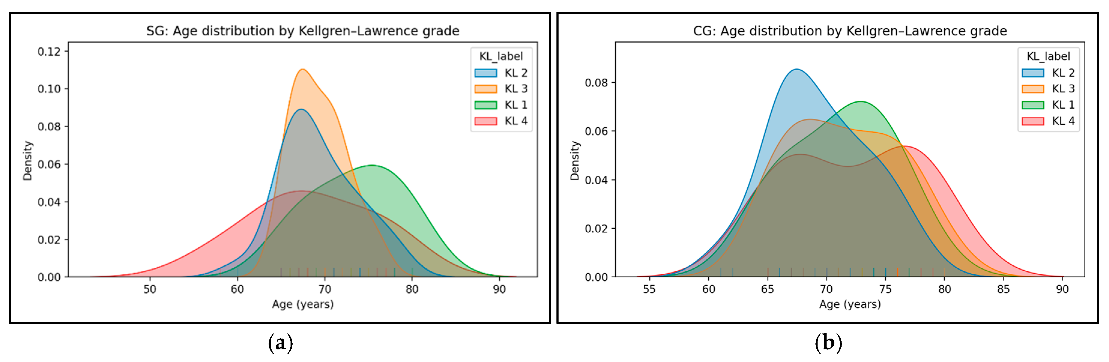Medicina 61 02118 g004 Medicina 61 02118 g004