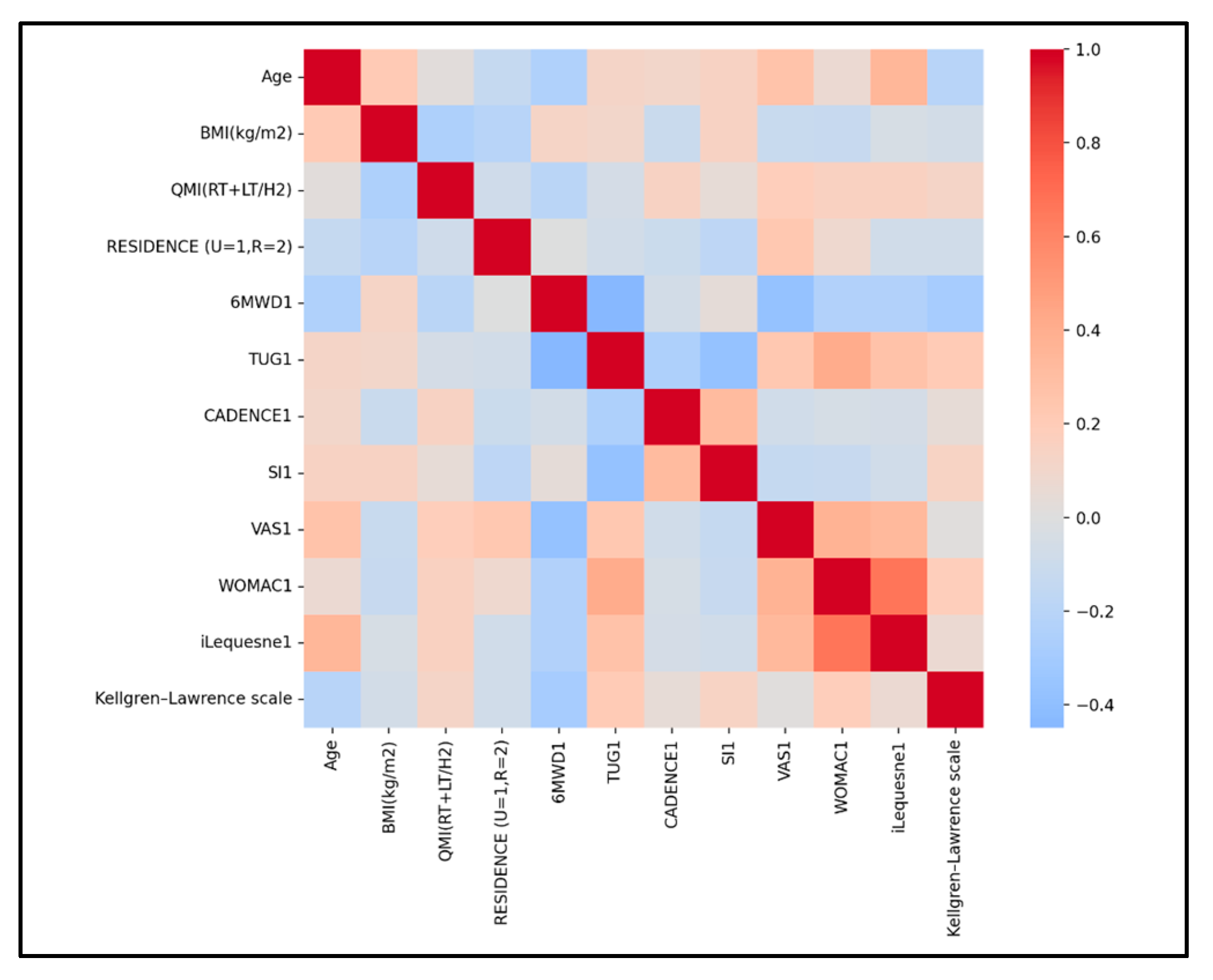 Medicina 61 02118 g008 Medicina 61 02118 g008
