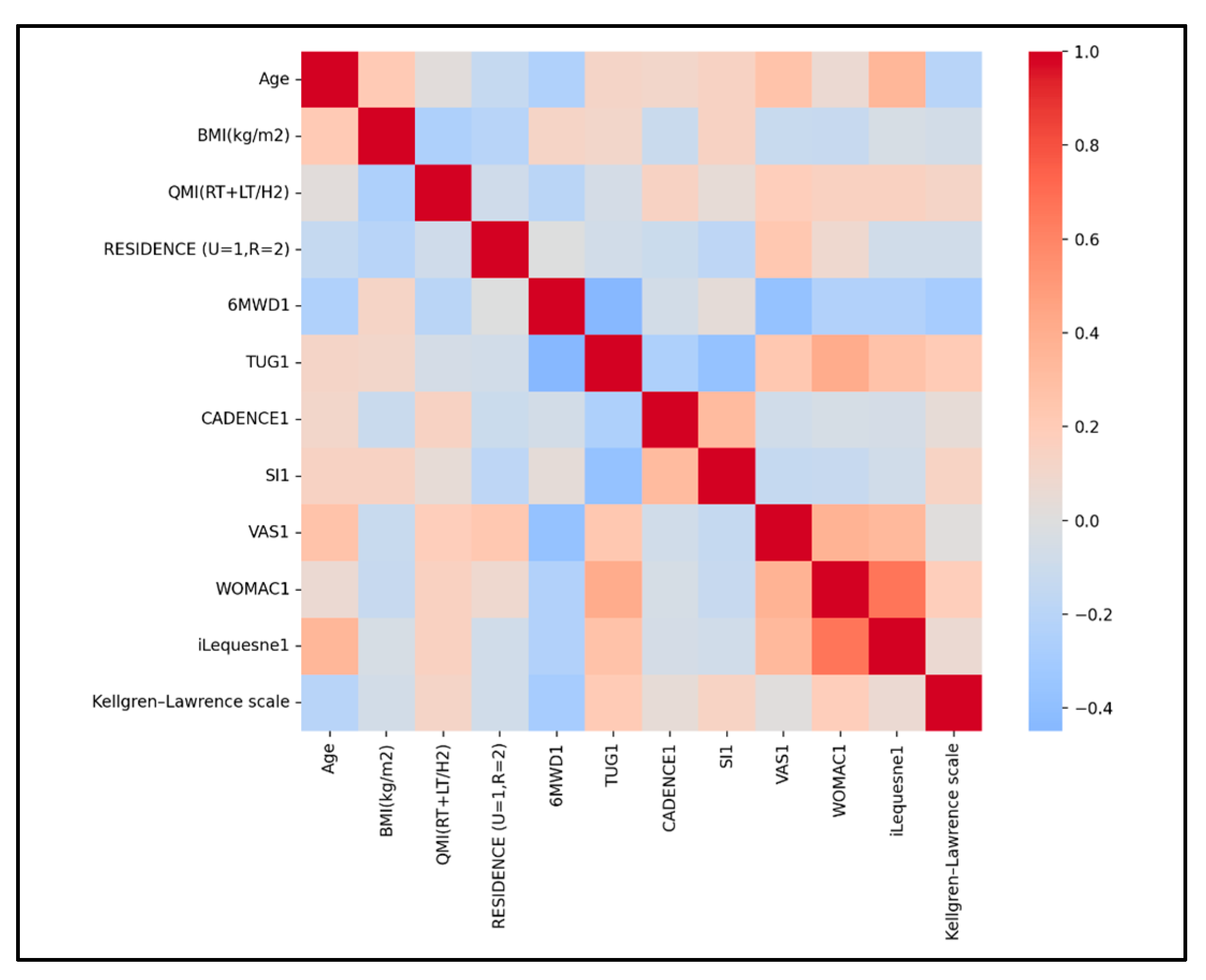 Medicina 61 02118 g009 Medicina 61 02118 g009