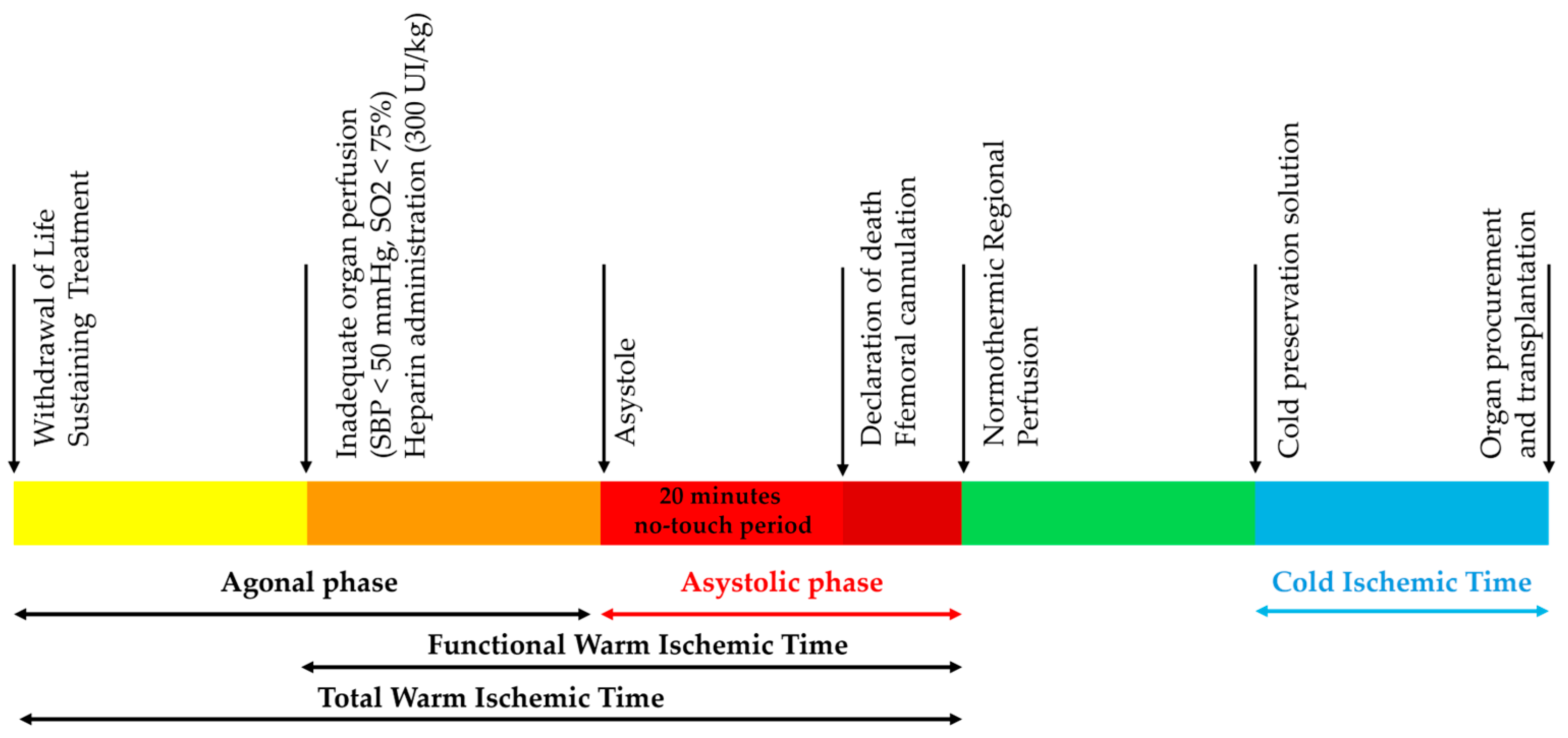 Medicina 61 02126 g001 Medicina 61 02126 g001
