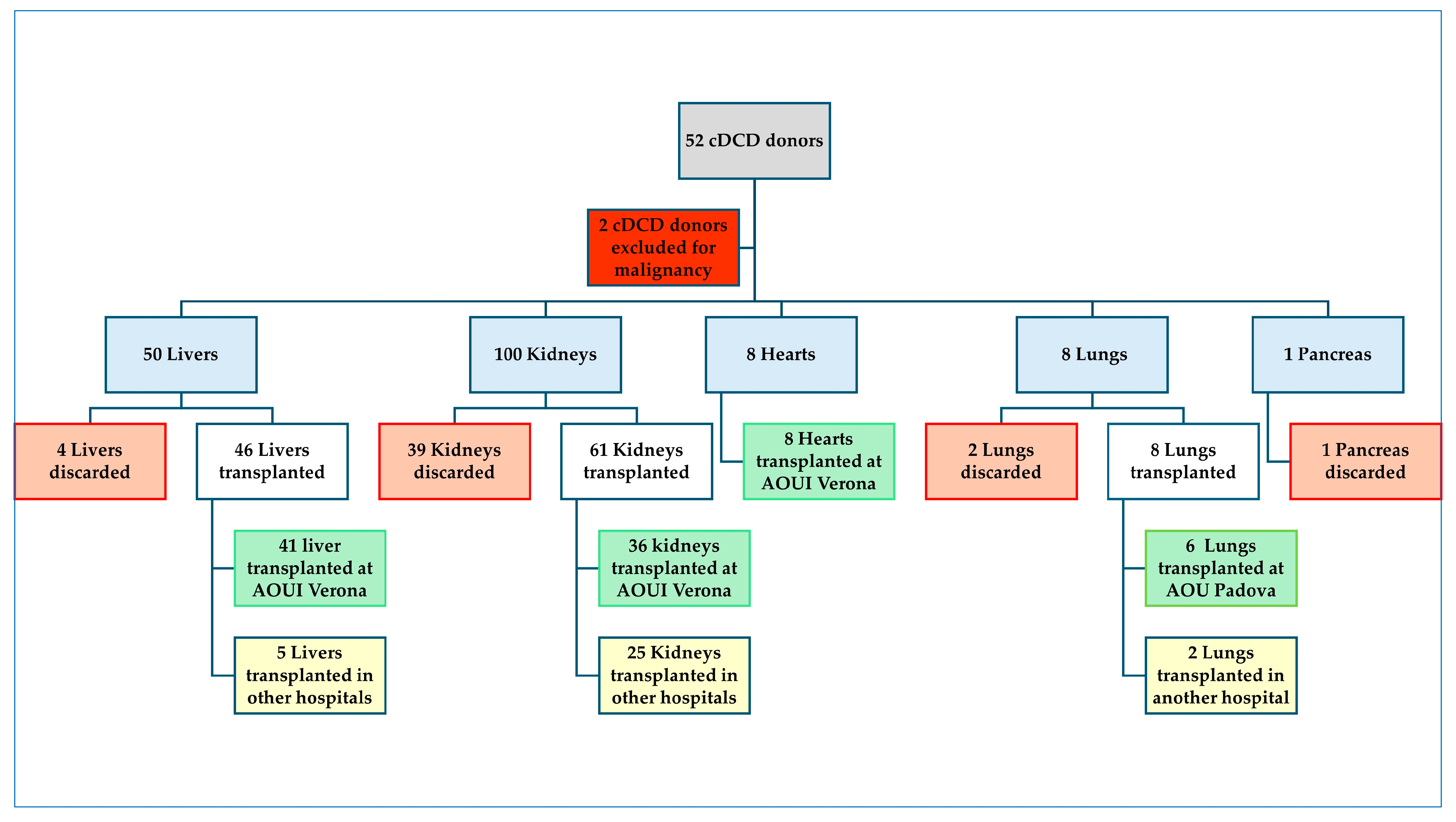 Medicina 61 02126 g002 Medicina 61 02126 g002