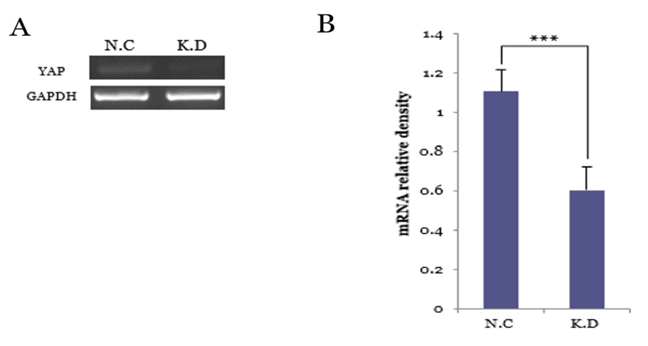 Medicina 61 02134 g002