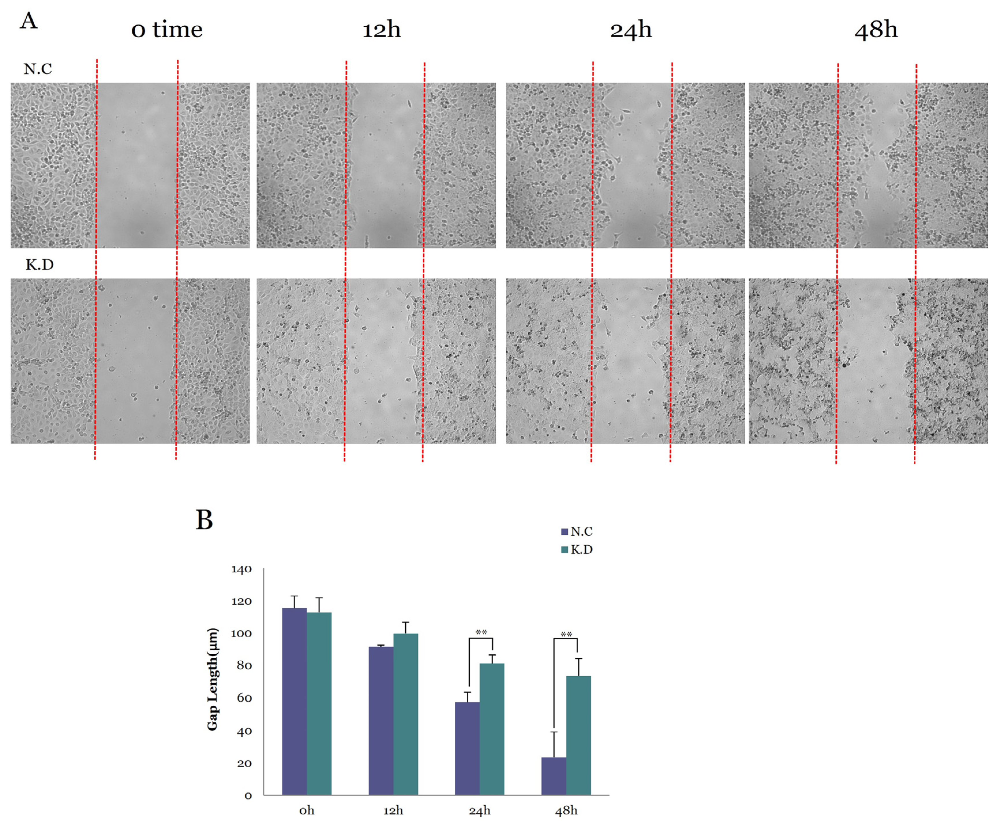 Medicina 61 02134 g004