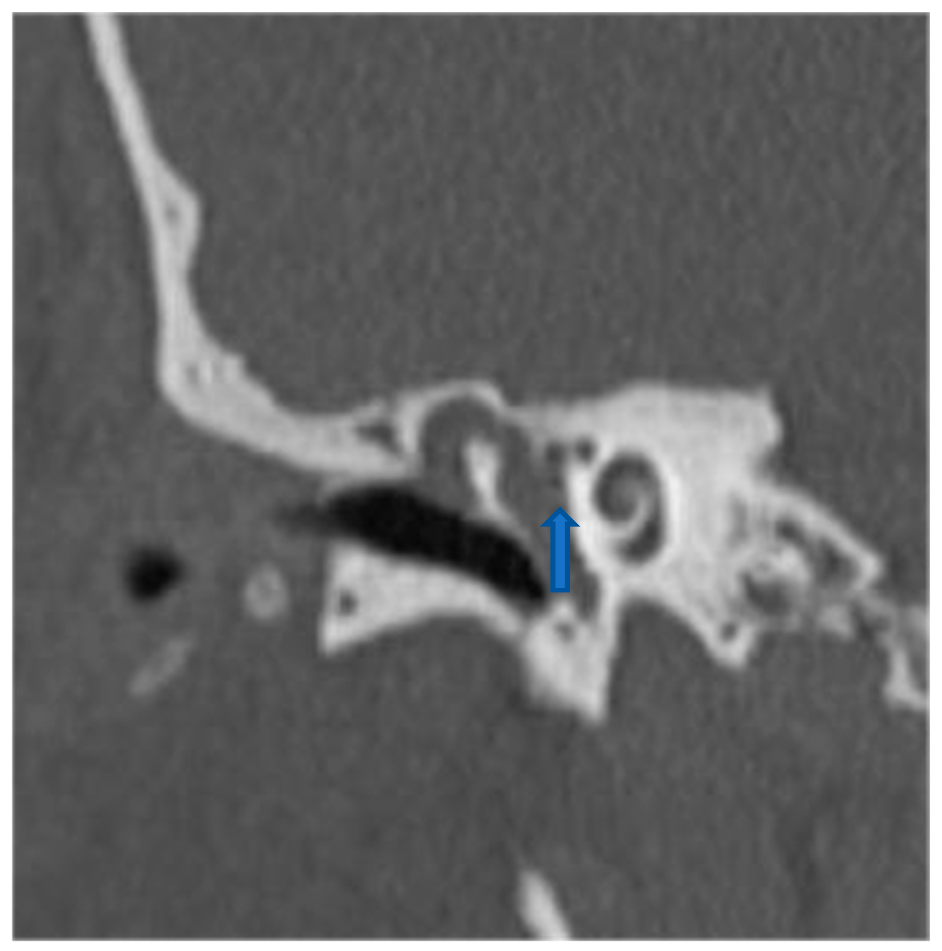 Medicina 61 02144 g001