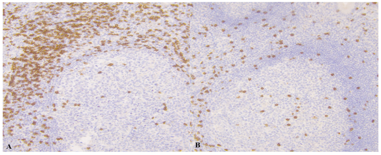 Medicina 61 02161 g001 Medicina 61 02161 g001