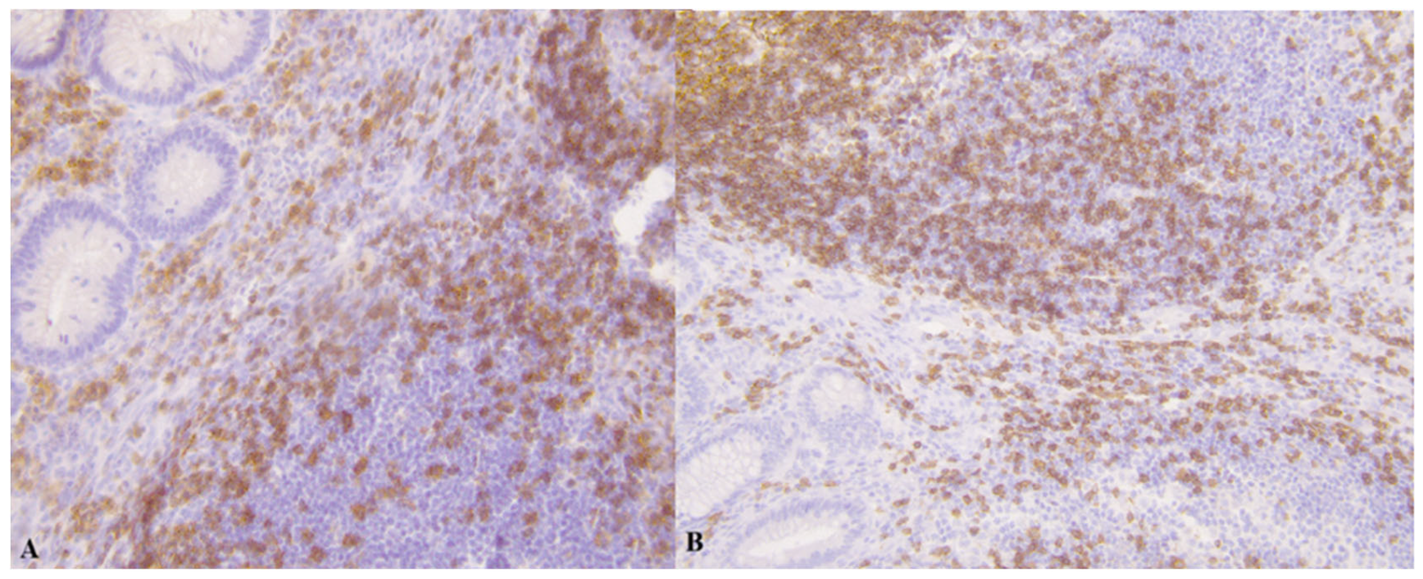Medicina 61 02161 g002 Medicina 61 02161 g002