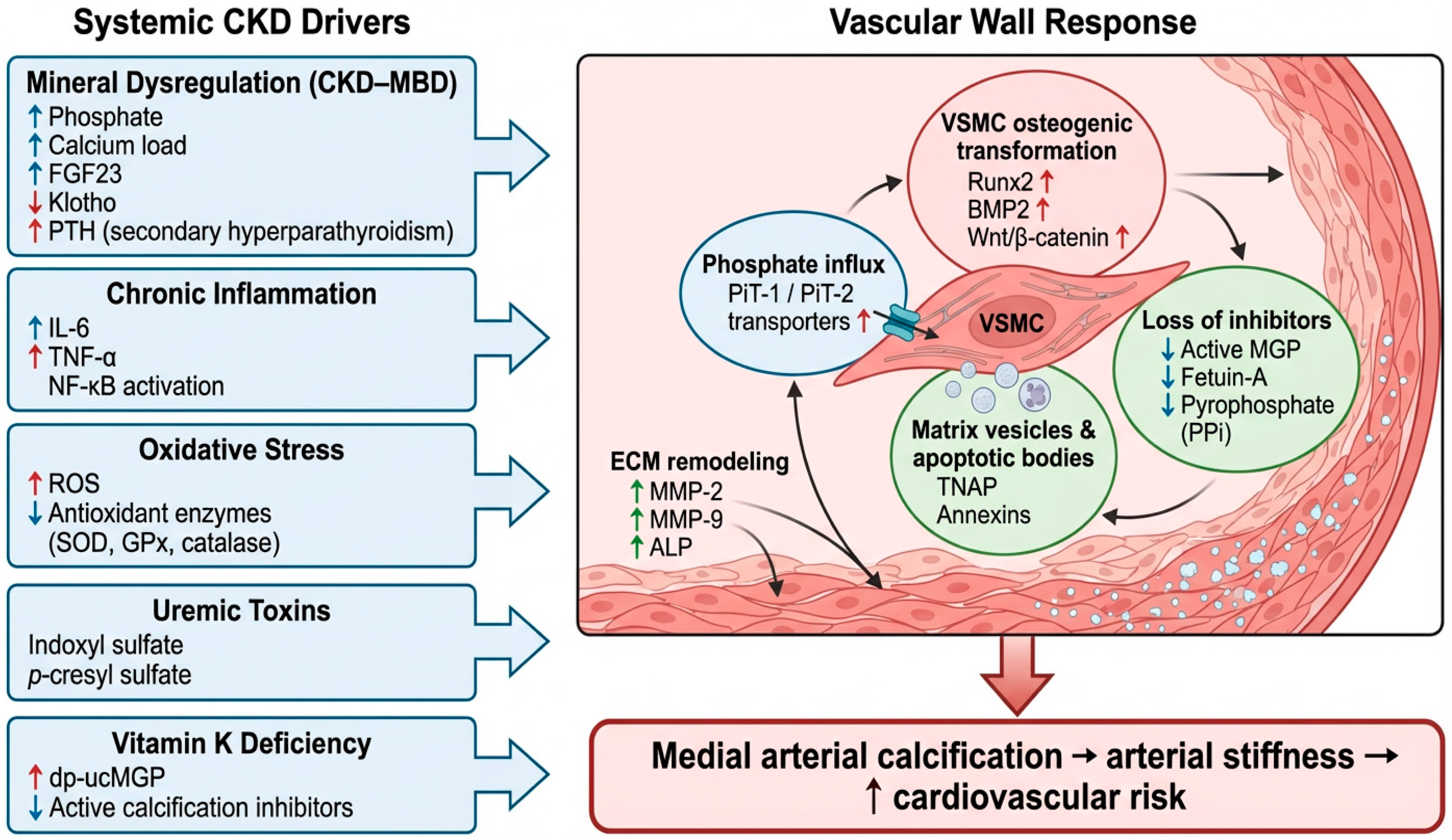 Medicina 61 02169 g004