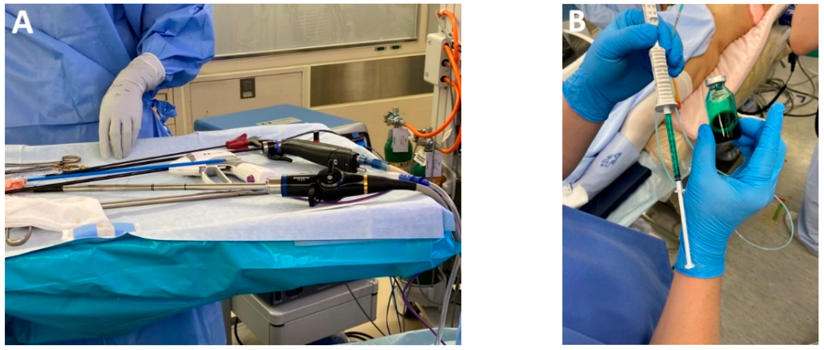 Medicina 61 02176 g002a Medicina 61 02176 g002a