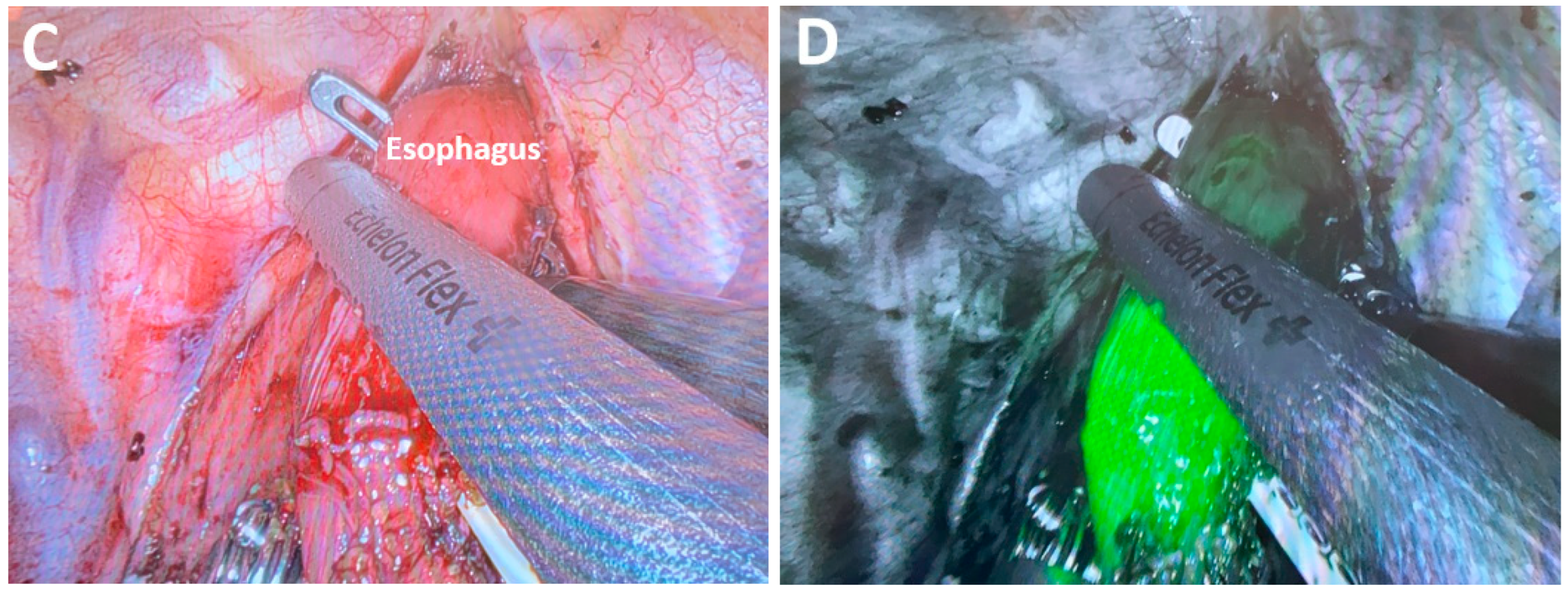Medicina 61 02176 g002b Medicina 61 02176 g002b