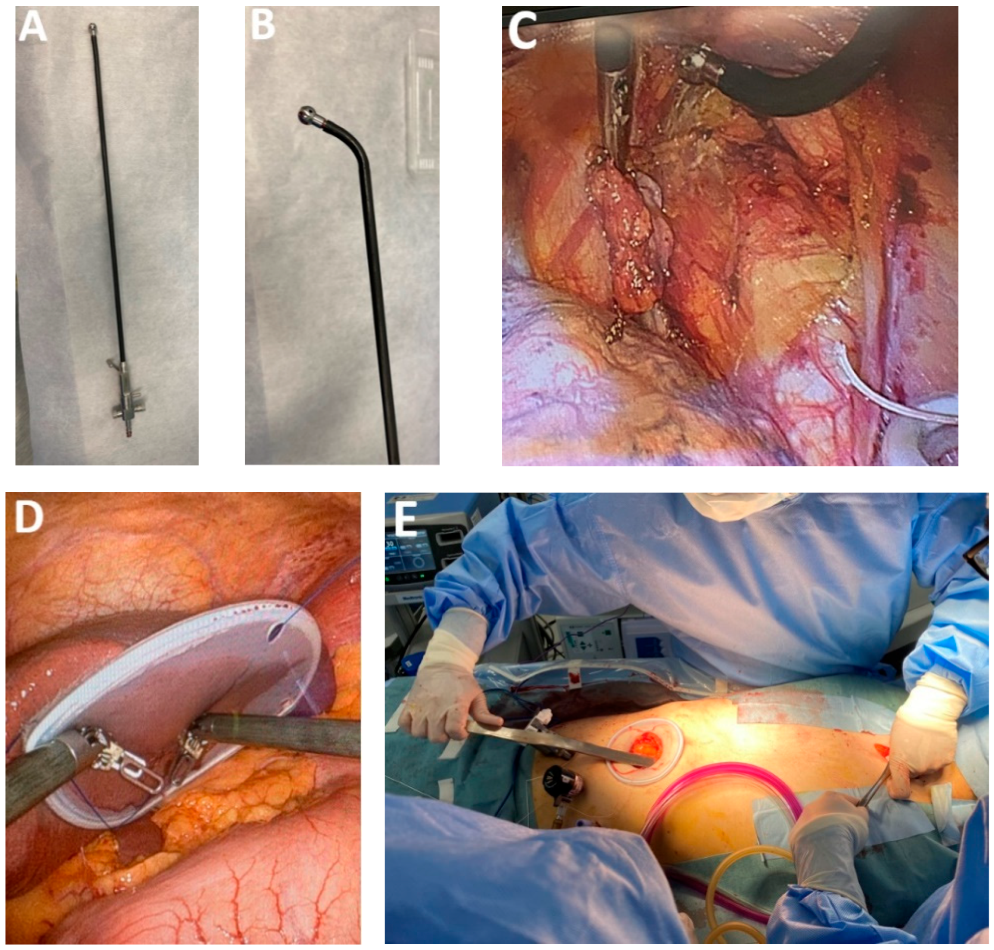 Medicina 61 02176 g003 Medicina 61 02176 g003