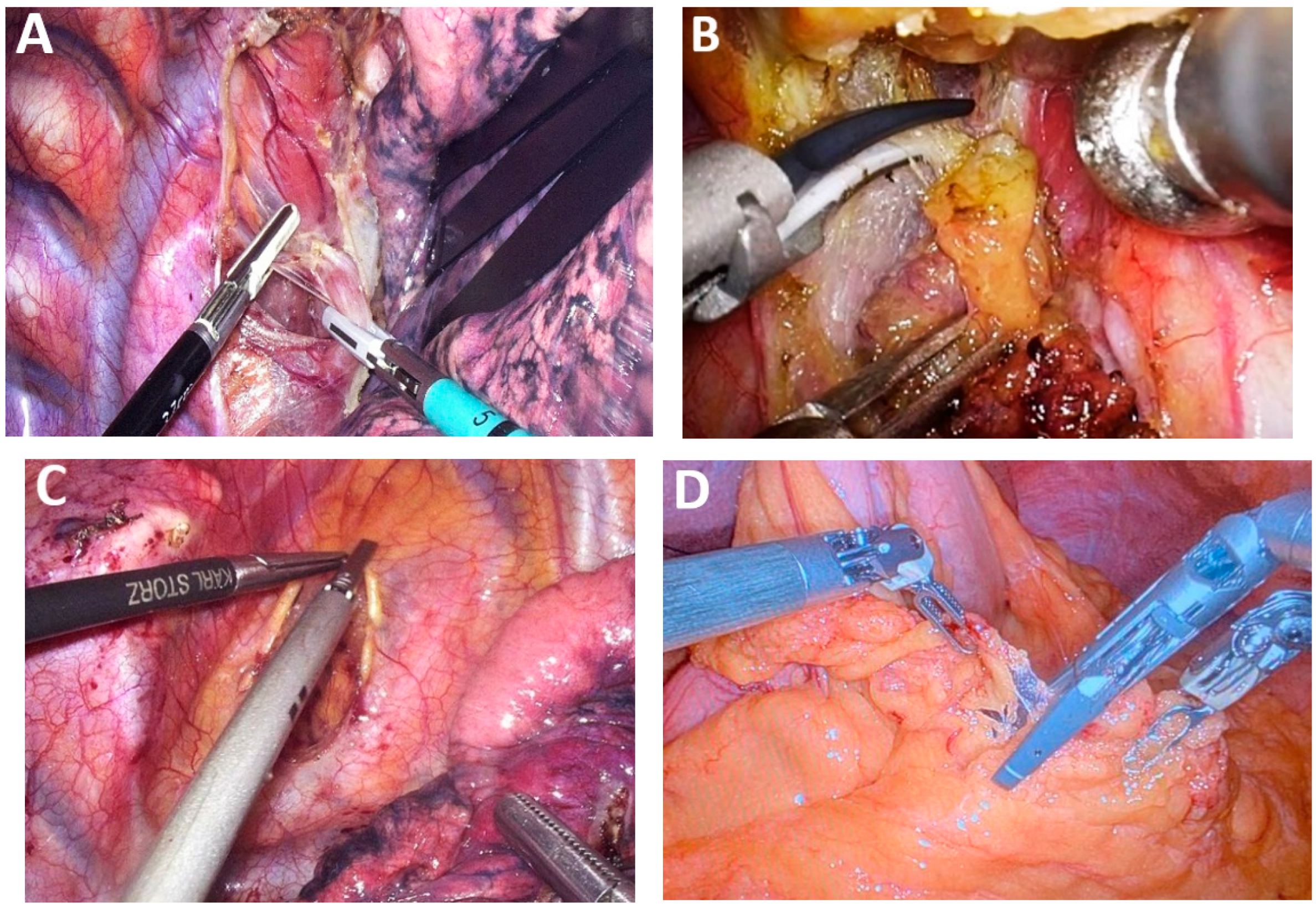 Medicina 61 02176 g004 Medicina 61 02176 g004