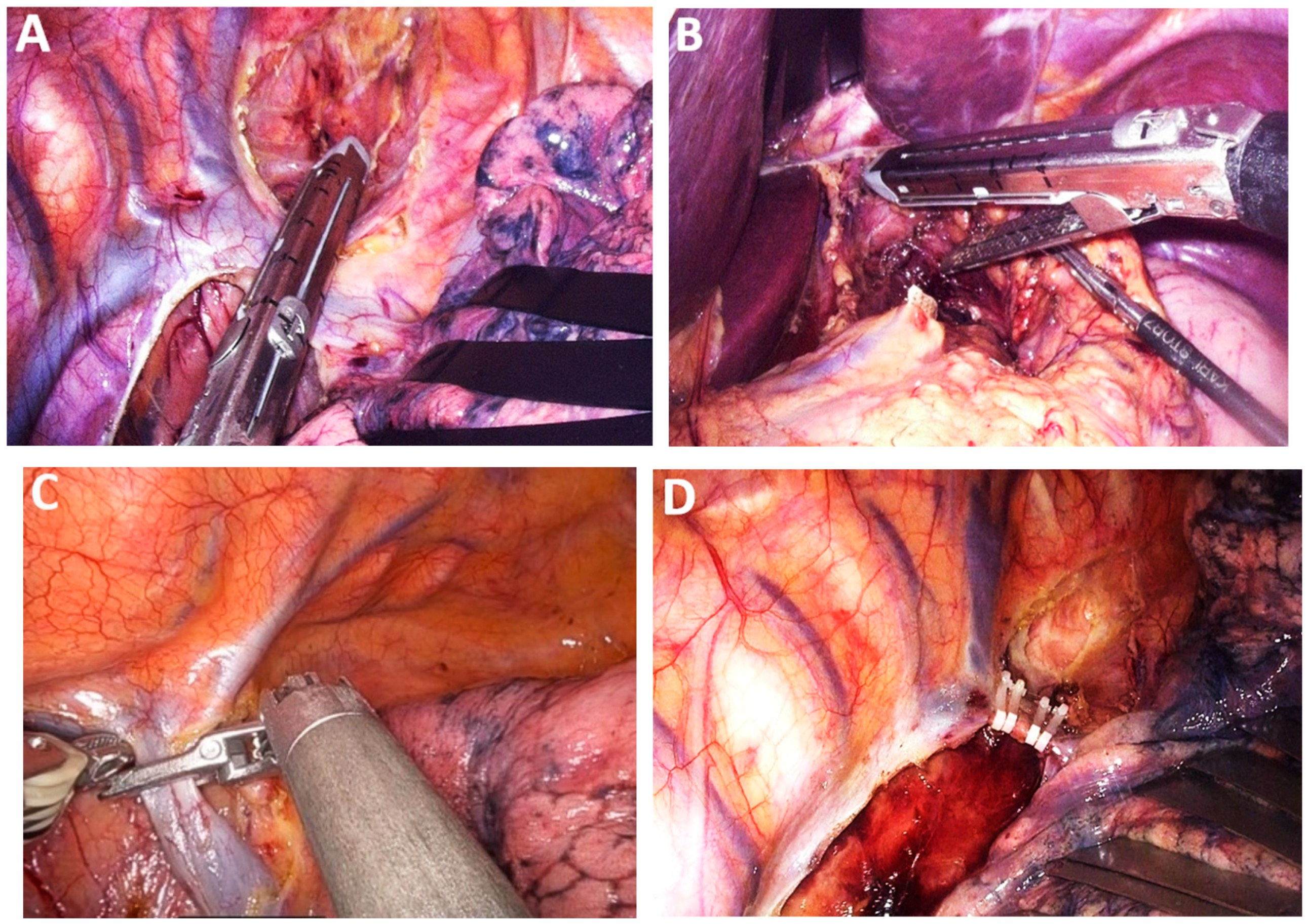 Medicina 61 02176 g005 Medicina 61 02176 g005